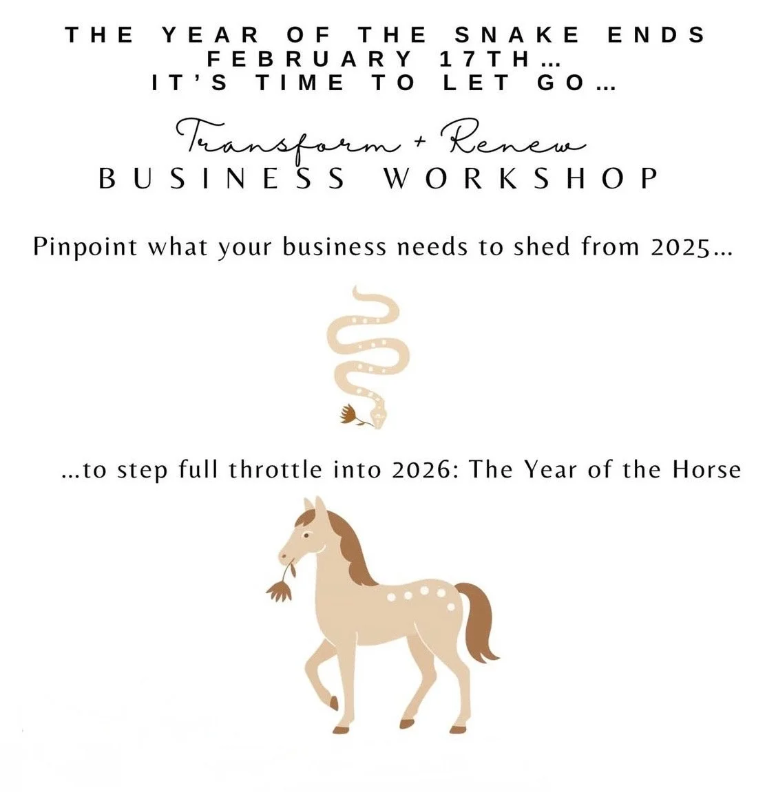 Transform + renew business workshop