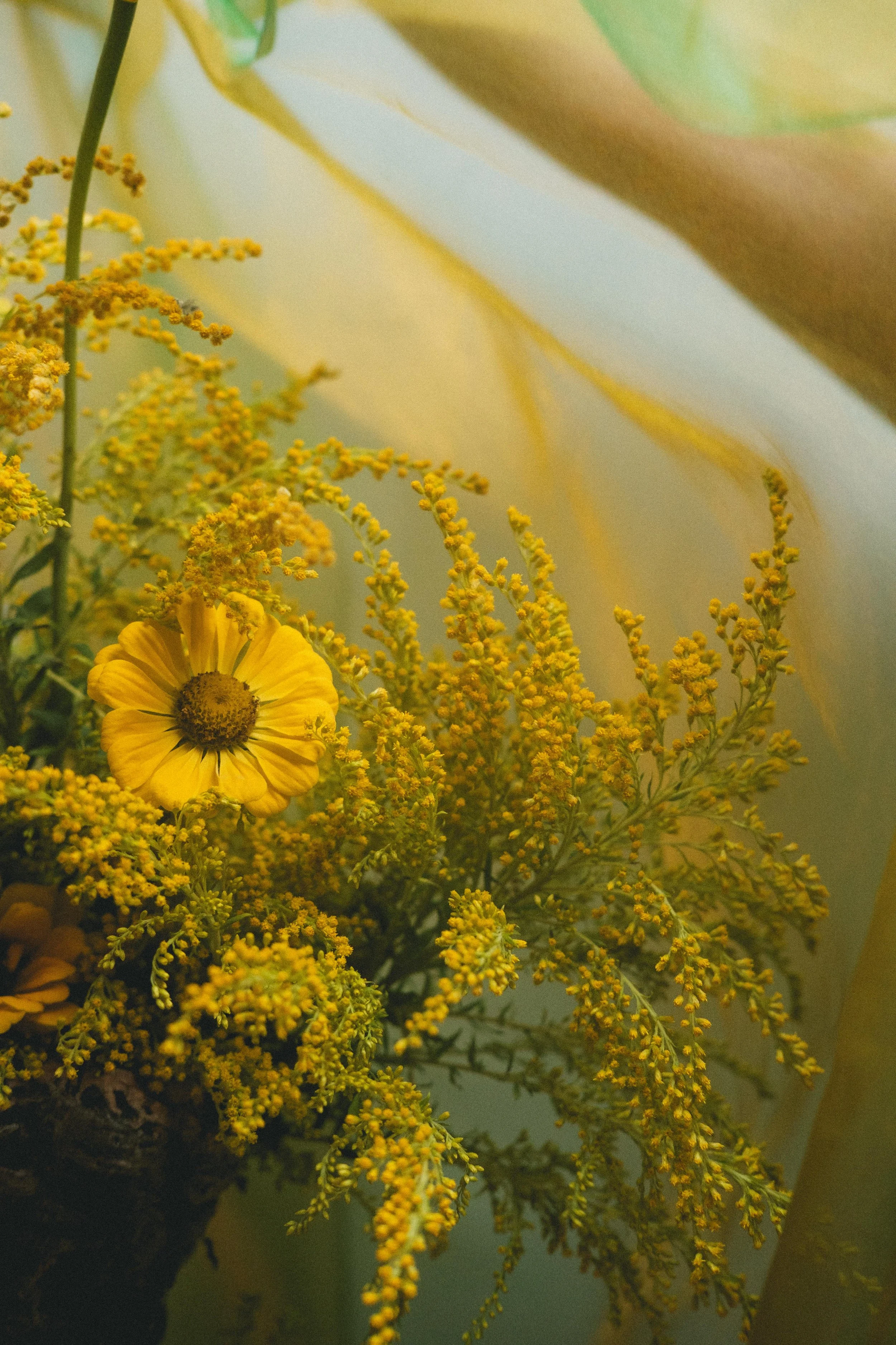 Mio-flora-aout-2025-ginnie-line-darcq-bd-10.jpg