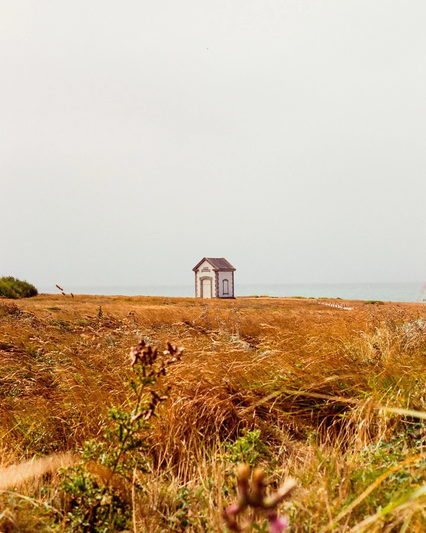 🎞️ Pellicule d&rsquo;&eacute;t&eacute; &bull; la Bretagne.

Quelques clich&eacute;s pris &agrave; la vol&eacute;e lors d&rsquo;un shooting &agrave; belle &icirc;le en mer, et quelques paysages contempl&eacute;s pendant les ballades nature &agrave; l