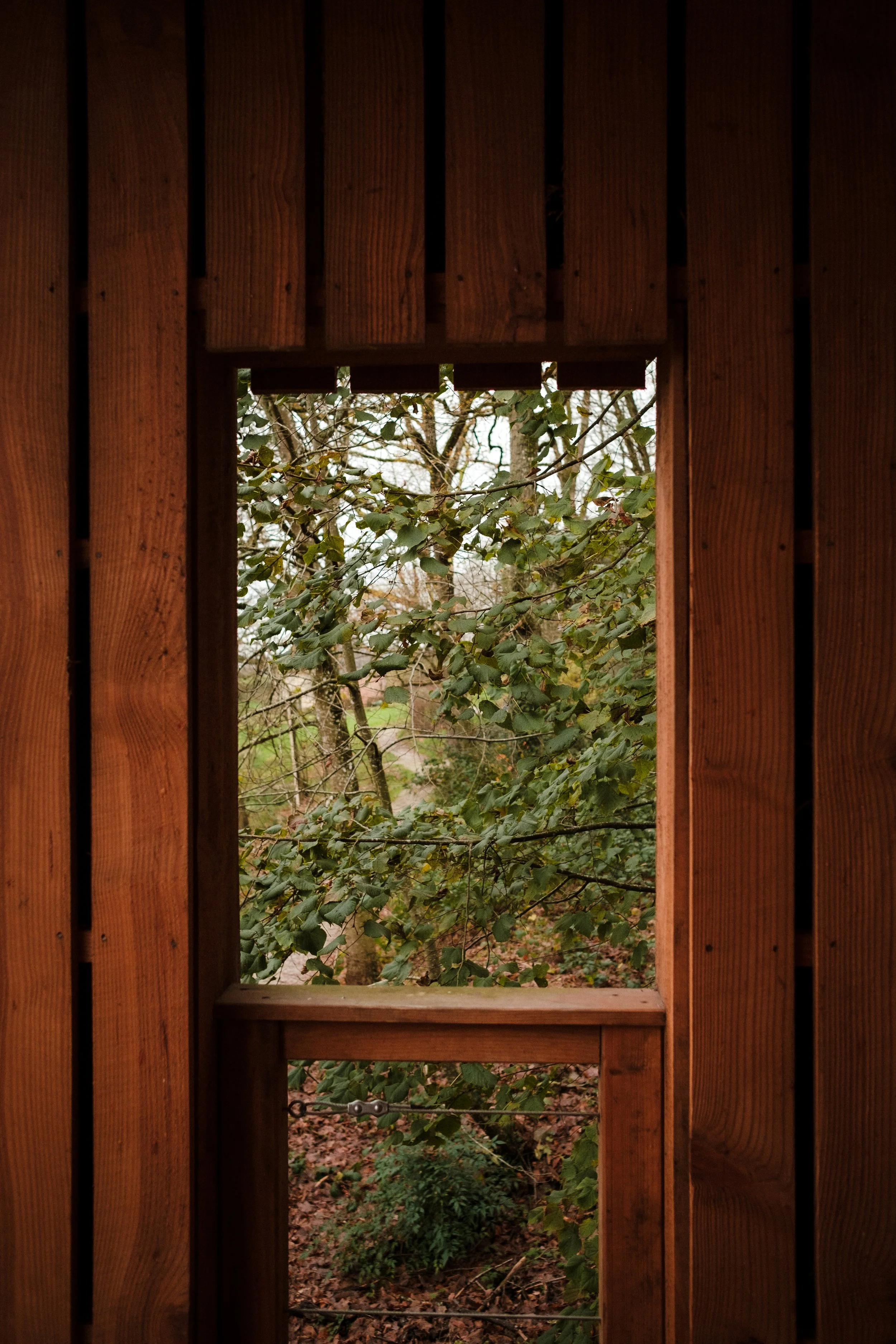 Forêt Perche cabane arbres hospitalité nature