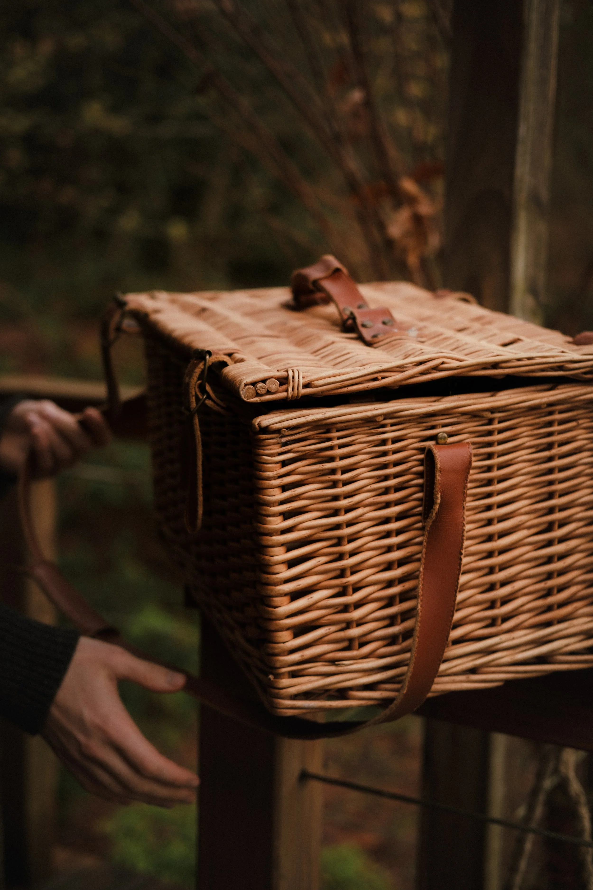 Expérience immersive cabane perchée séjour conscient