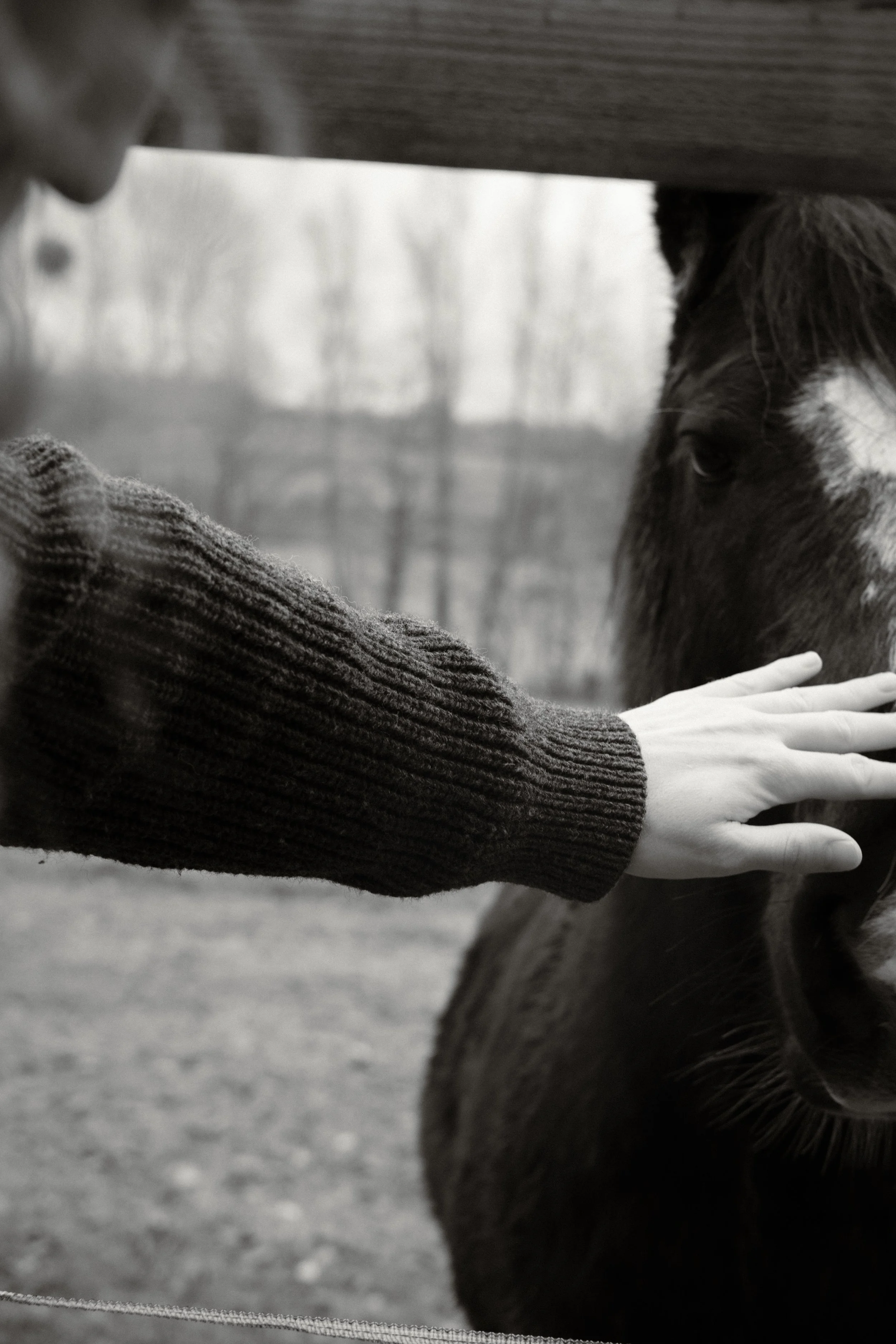 Parenthèse nature Normandie hospitalité slow engagée