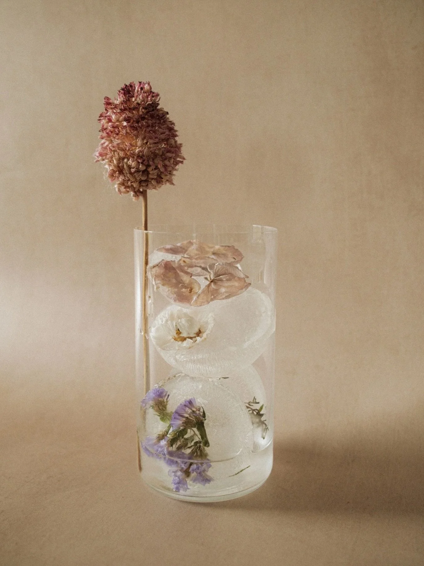 Po&eacute;sie &agrave; contempler et &agrave; siroter, avec @alice.mauchant 🍸

&mdash;
photographe culinaire &bull; still life &bull; &eacute;ditorial &bull; gastronomie durable &bull;entre Lille et Le Perche &bull;