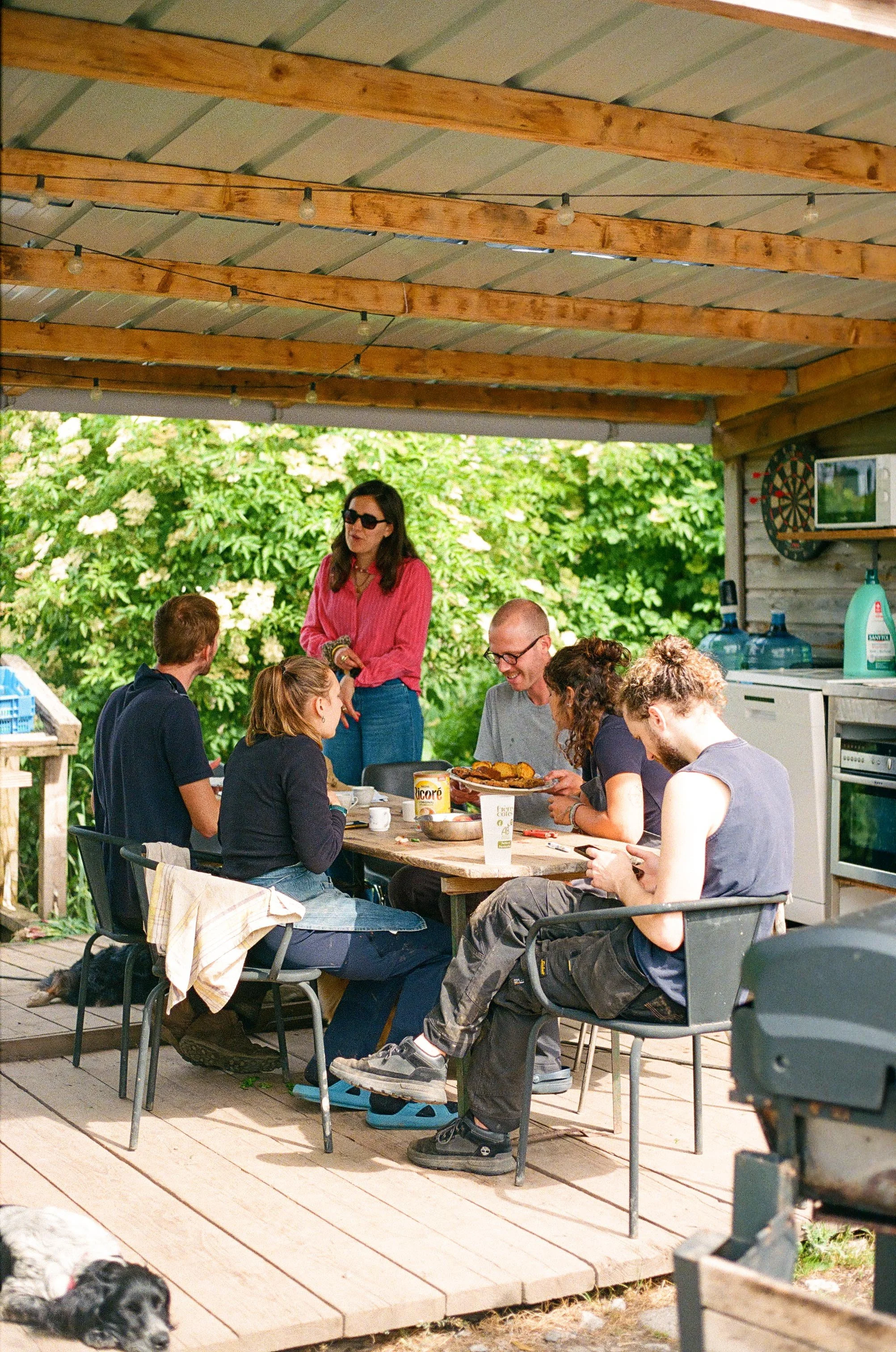 la vie à la ferme des frères côtes