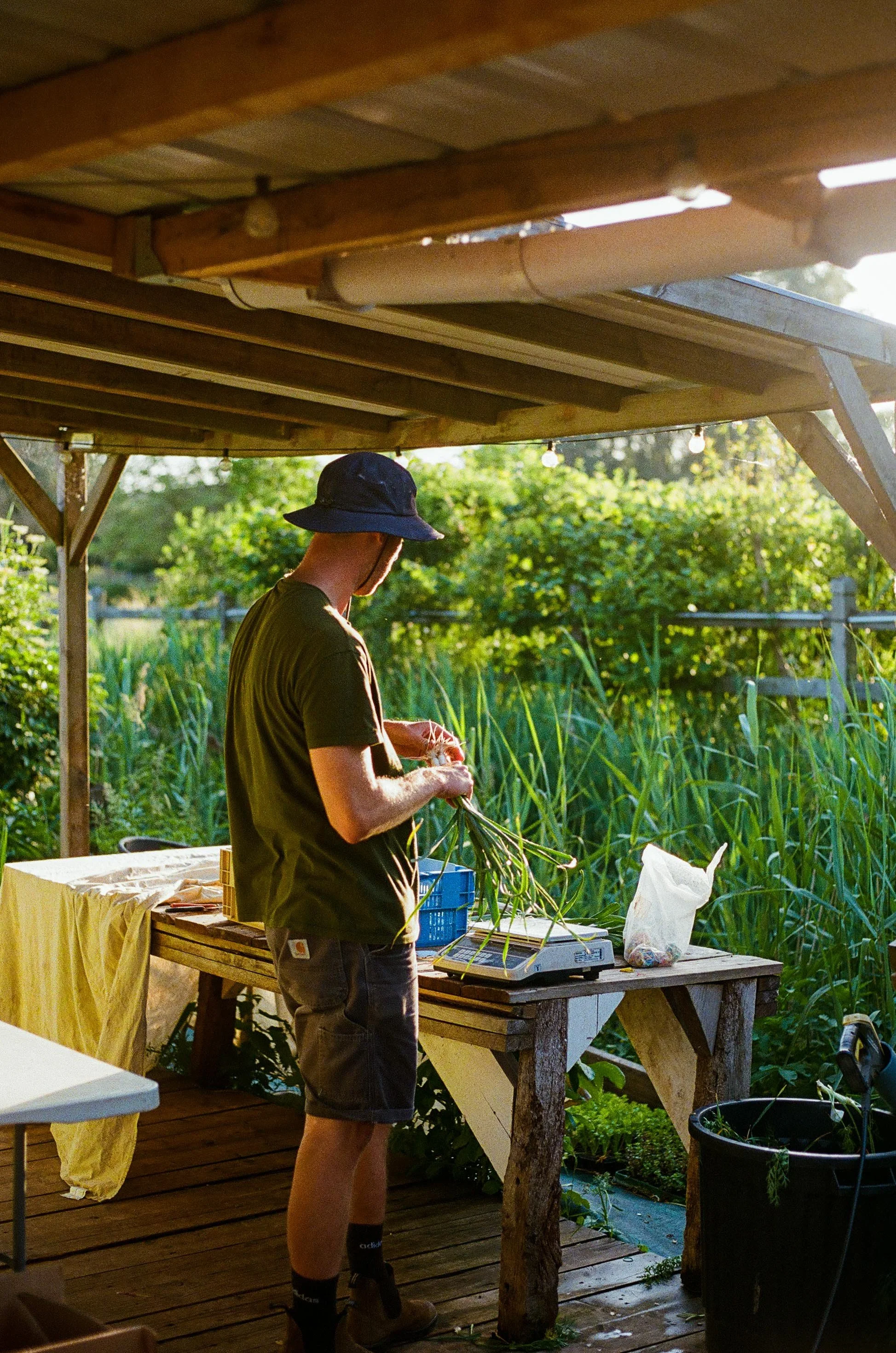 Portrait de Clément au travail à la ferme en fin de journée