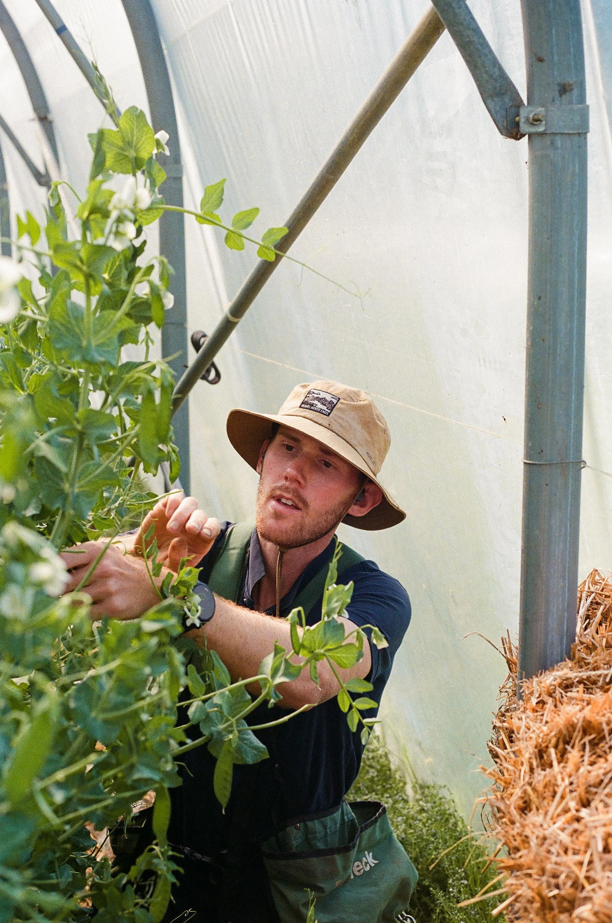 micro-ferme en permaculture à Sainghin-en-Mélantois