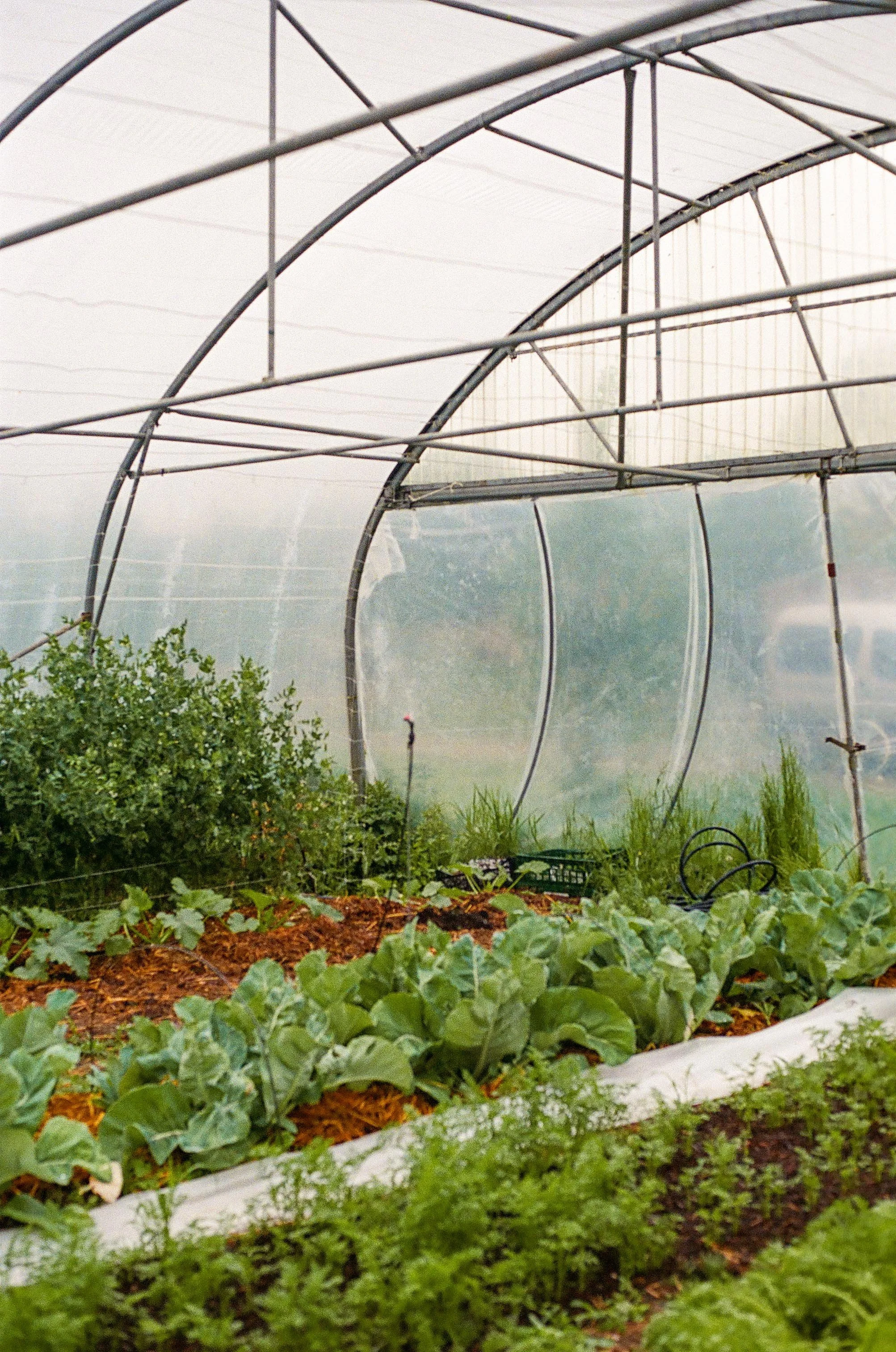 micro-ferme à lille