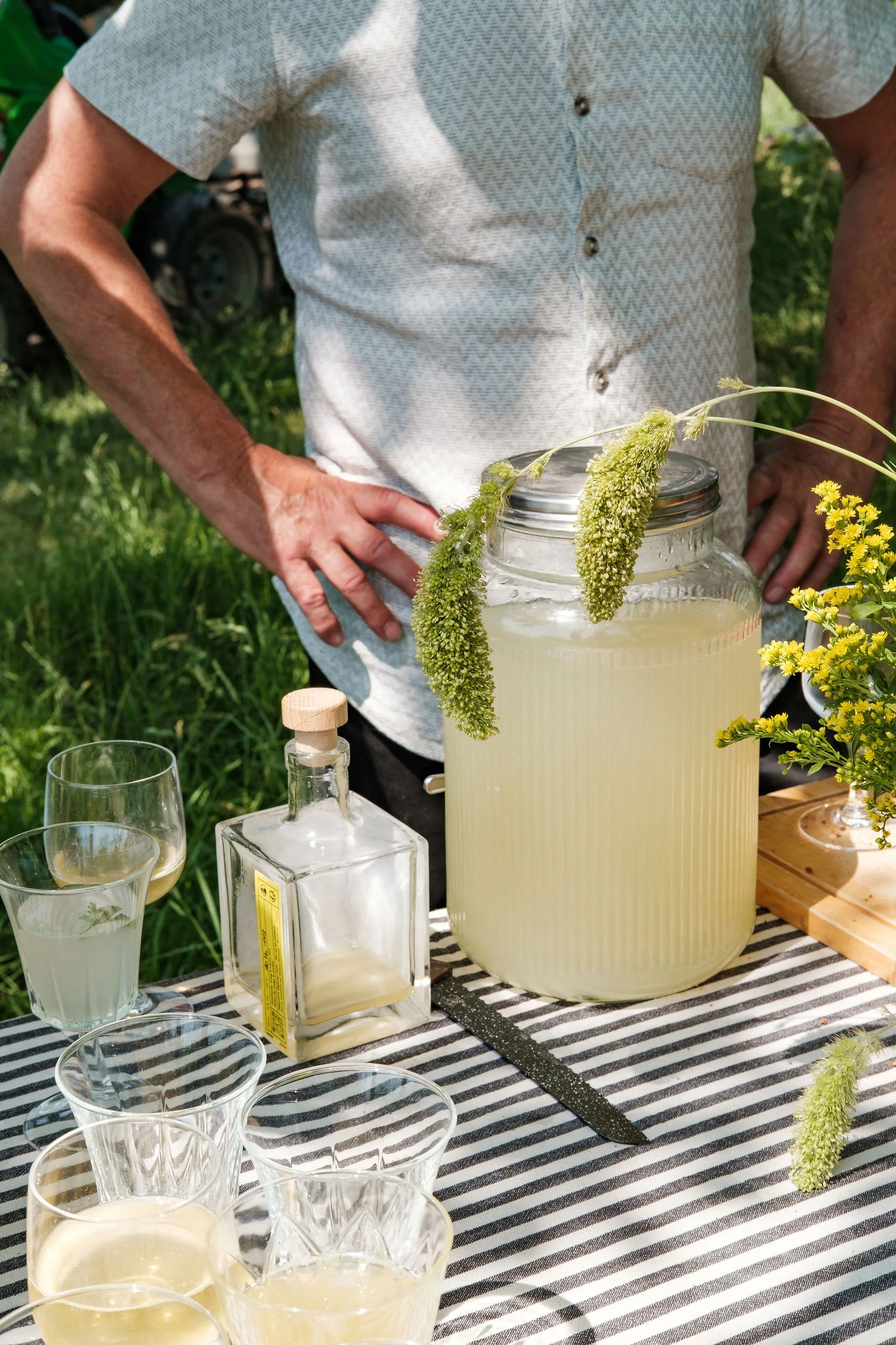 citronade à l'hibiscus par Oscar et Celeste