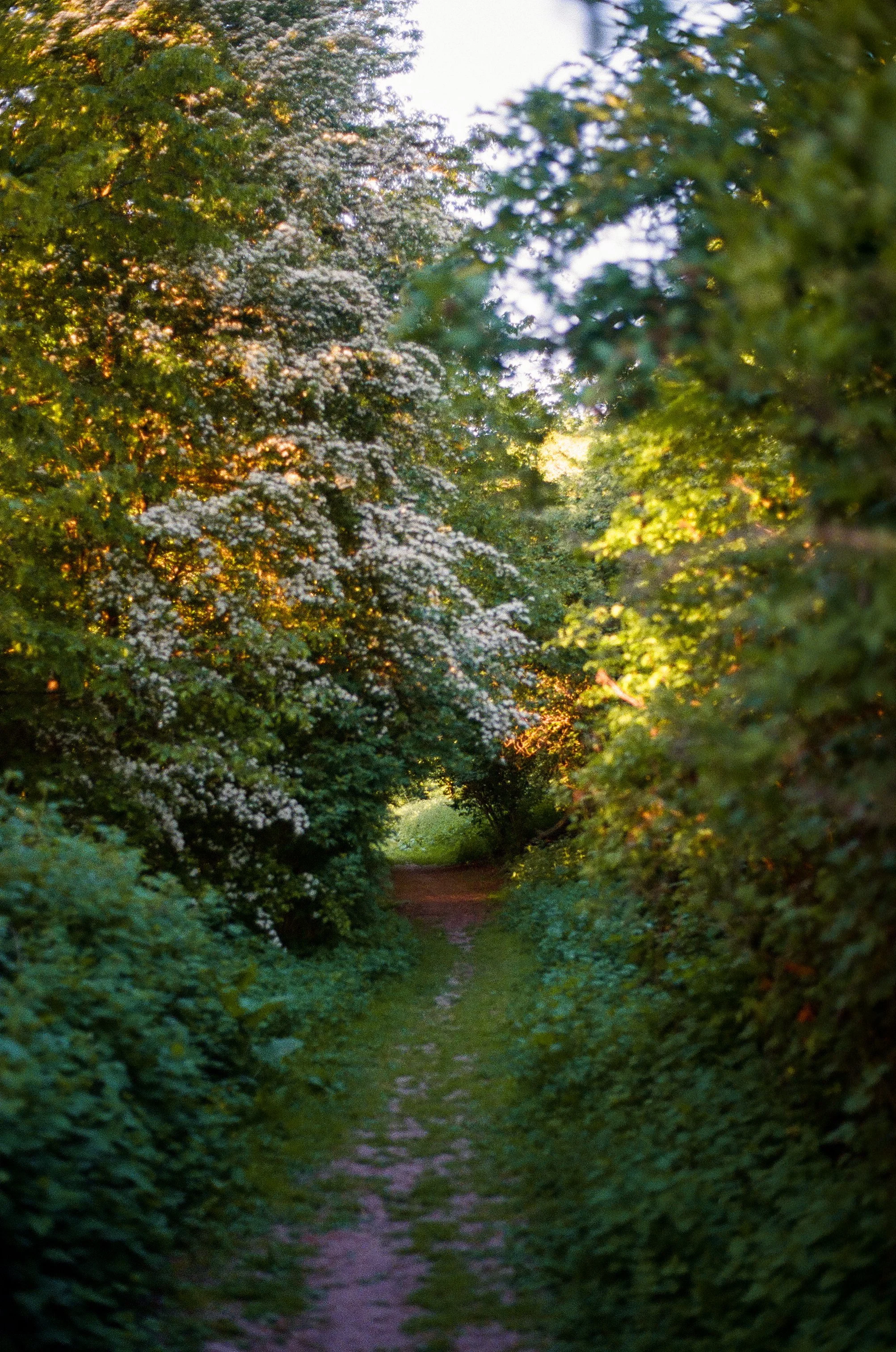 Kodak-400-Printemps-2026-83.jpg