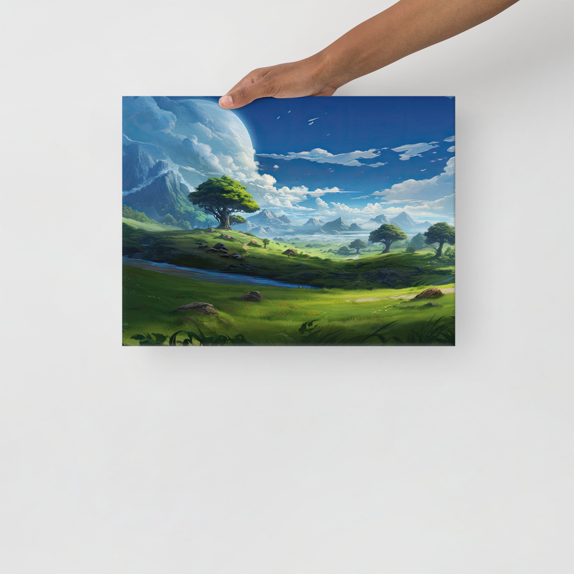 thin-canvas-(in)-12x16-front-652ce0d959f7f.jpg