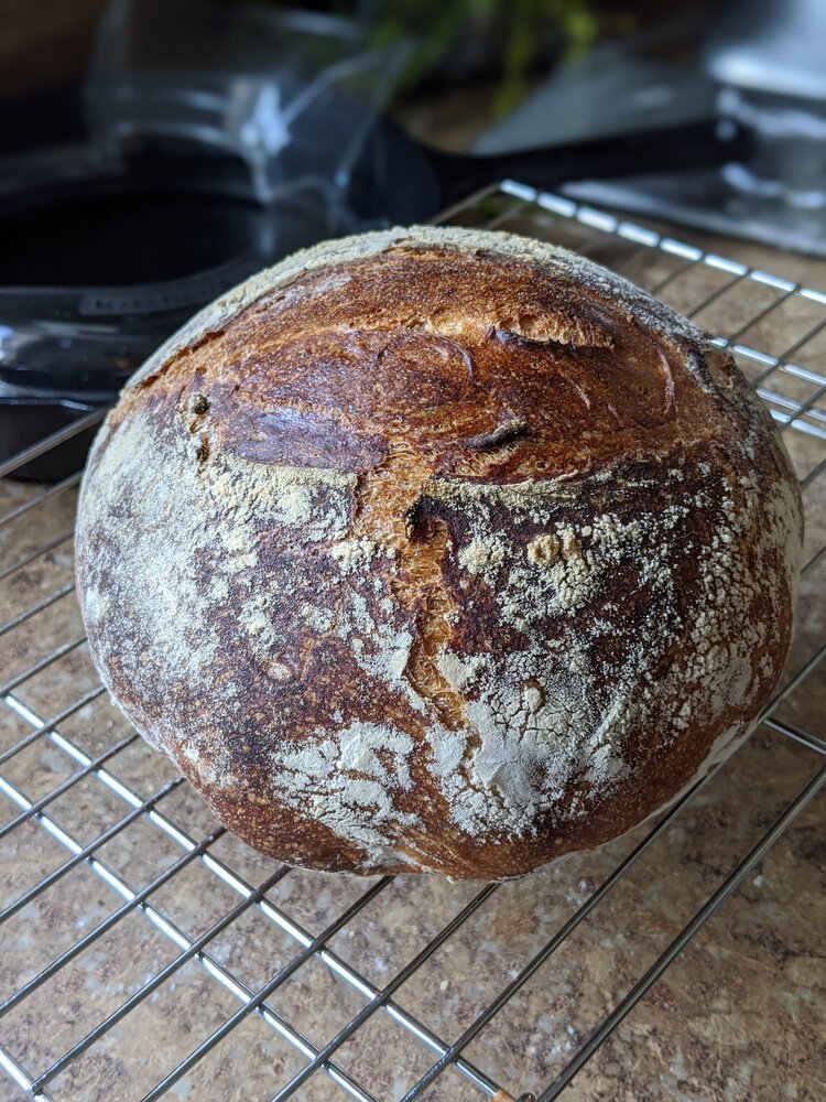 Adventures in sourdough