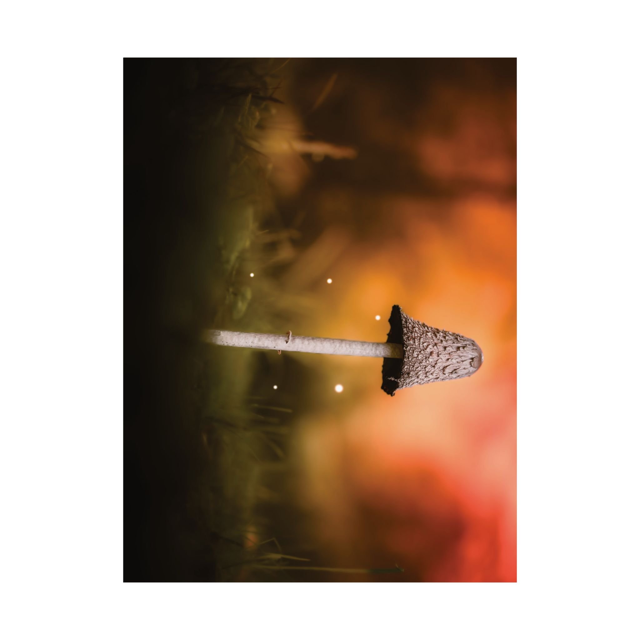 932284e69a52484d3dac429036a74175