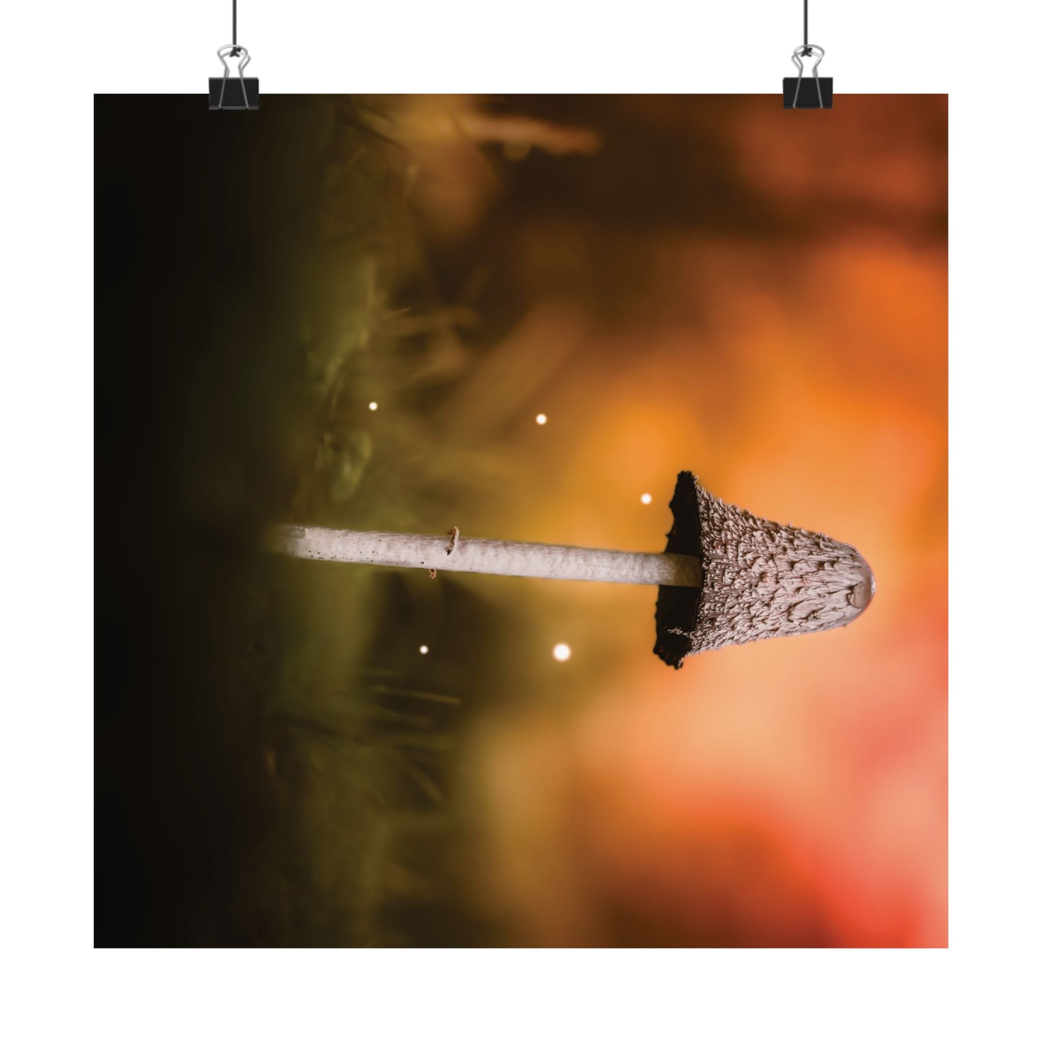 48bb8ed69471b4af454460486cfd86ed