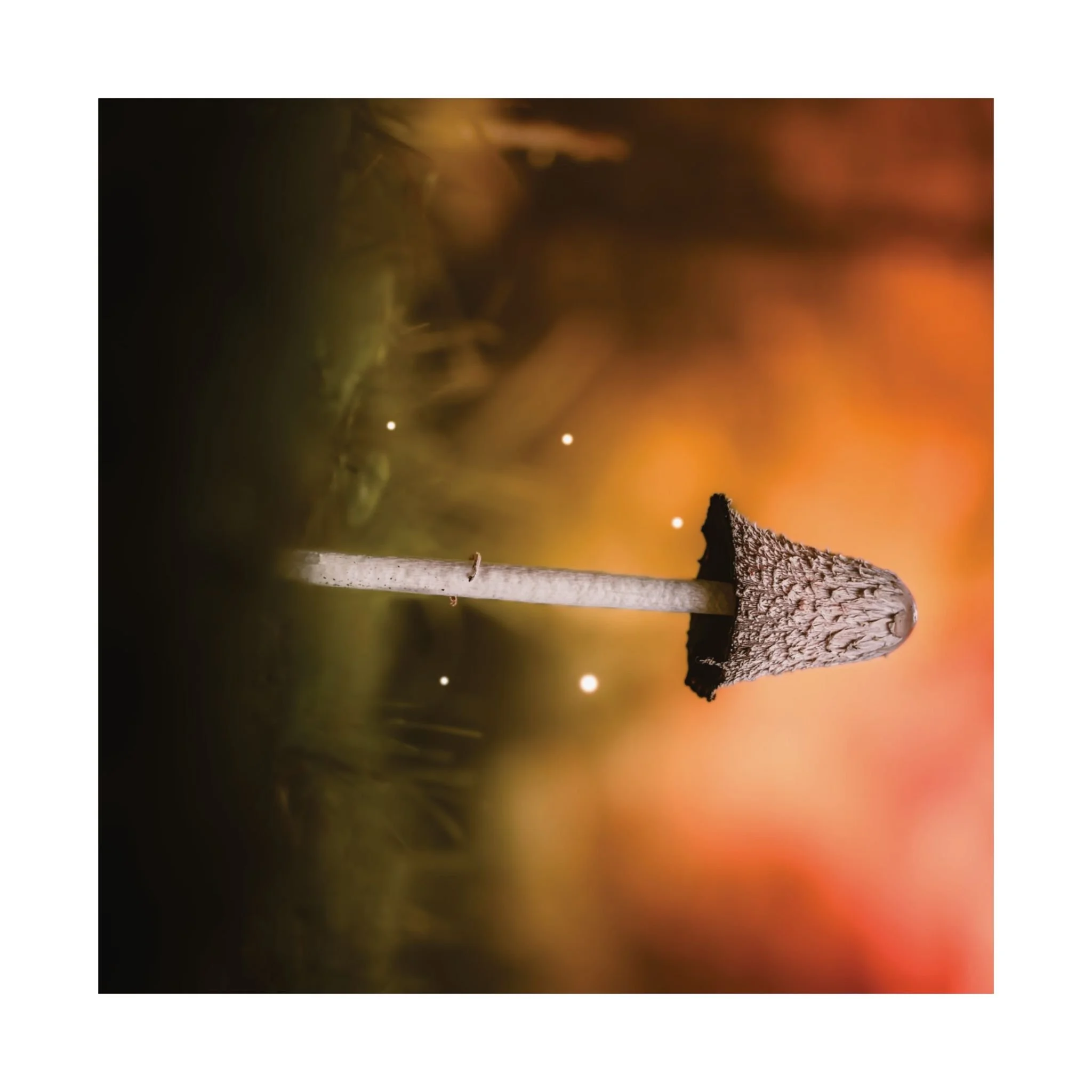 4ebb53b7eb7549826d9b5fe9566a1d38