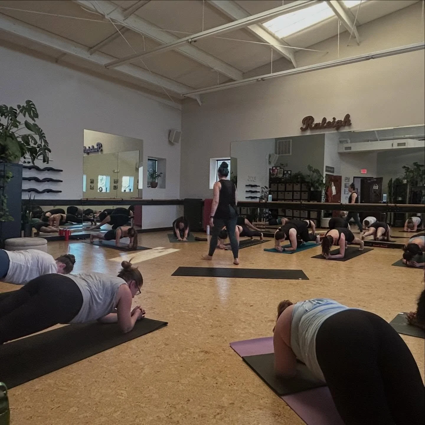 hi 🤍

gentle reminder to come to class this week

that&rsquo;s it
that&rsquo;s the message

✨✨

ps - and if you&rsquo;re new here, we&rsquo;ve got 3 weeks unlimited waiting for you 

we&rsquo;ll save you a spot