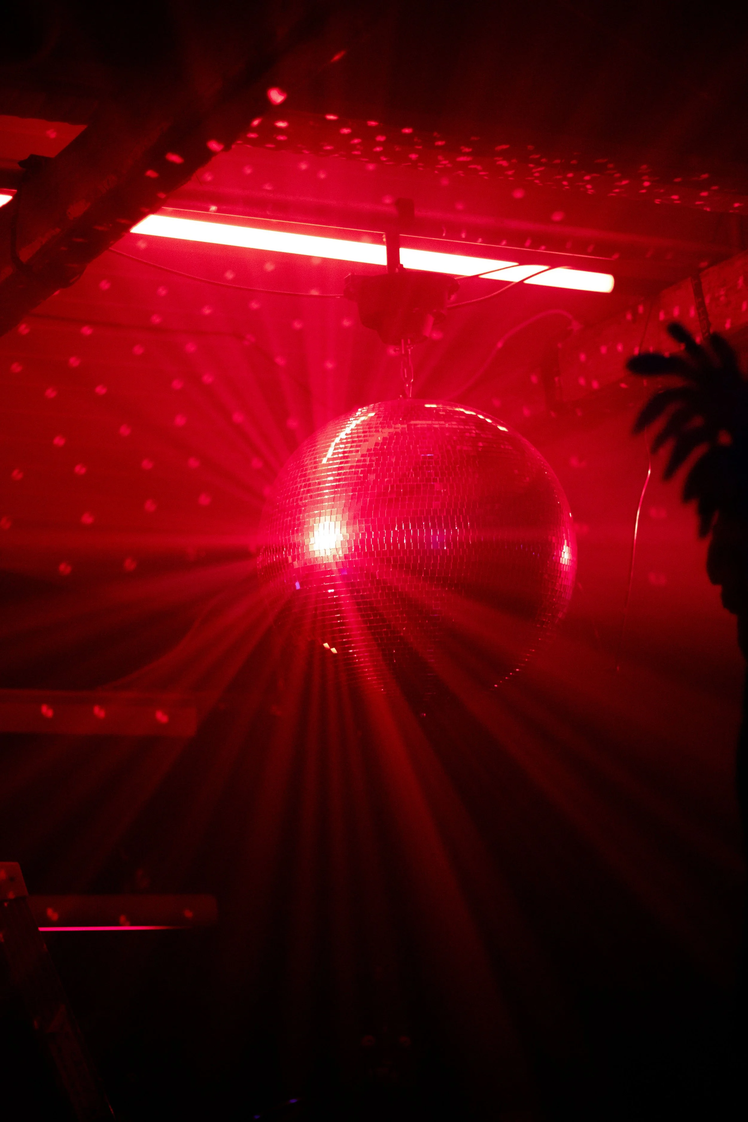 eventphotogrpahy2_ellenhjerpe.jpg