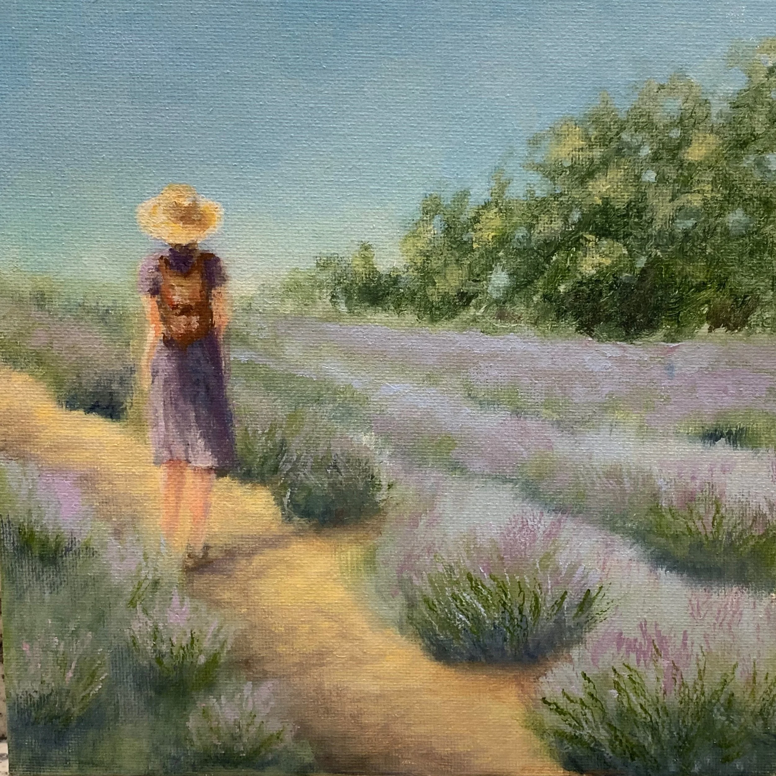 Les Champs de Lavande