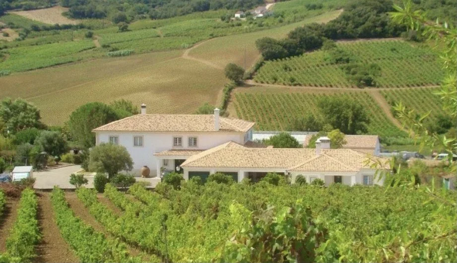 Screen Shot 2024-08-06 at 2.40.14 PM.jpeg