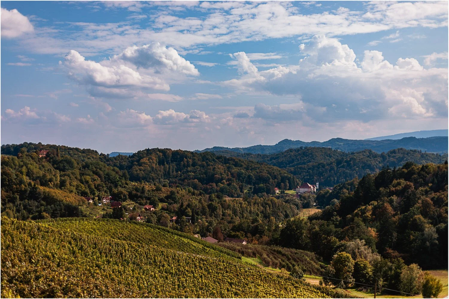 Hochzeit_Suedsteiermark_Weinstrasse_01.jpg