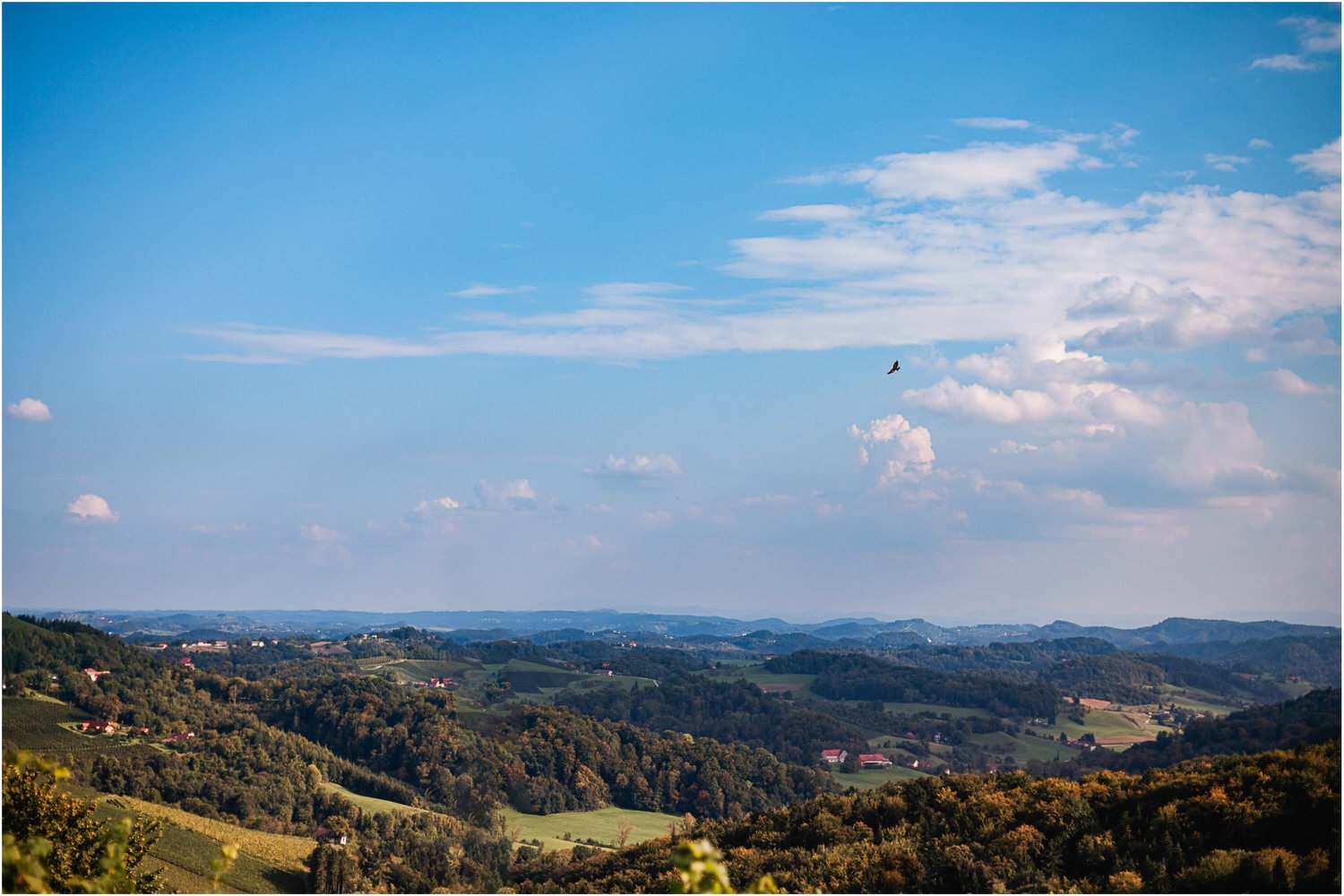 Hochzeit_Suedsteiermark_Weinstrasse_15.jpg