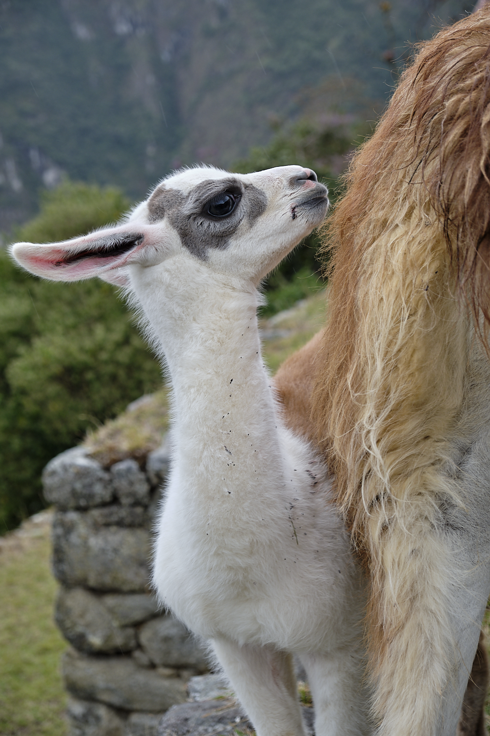 18-08-04_2018_1412.png