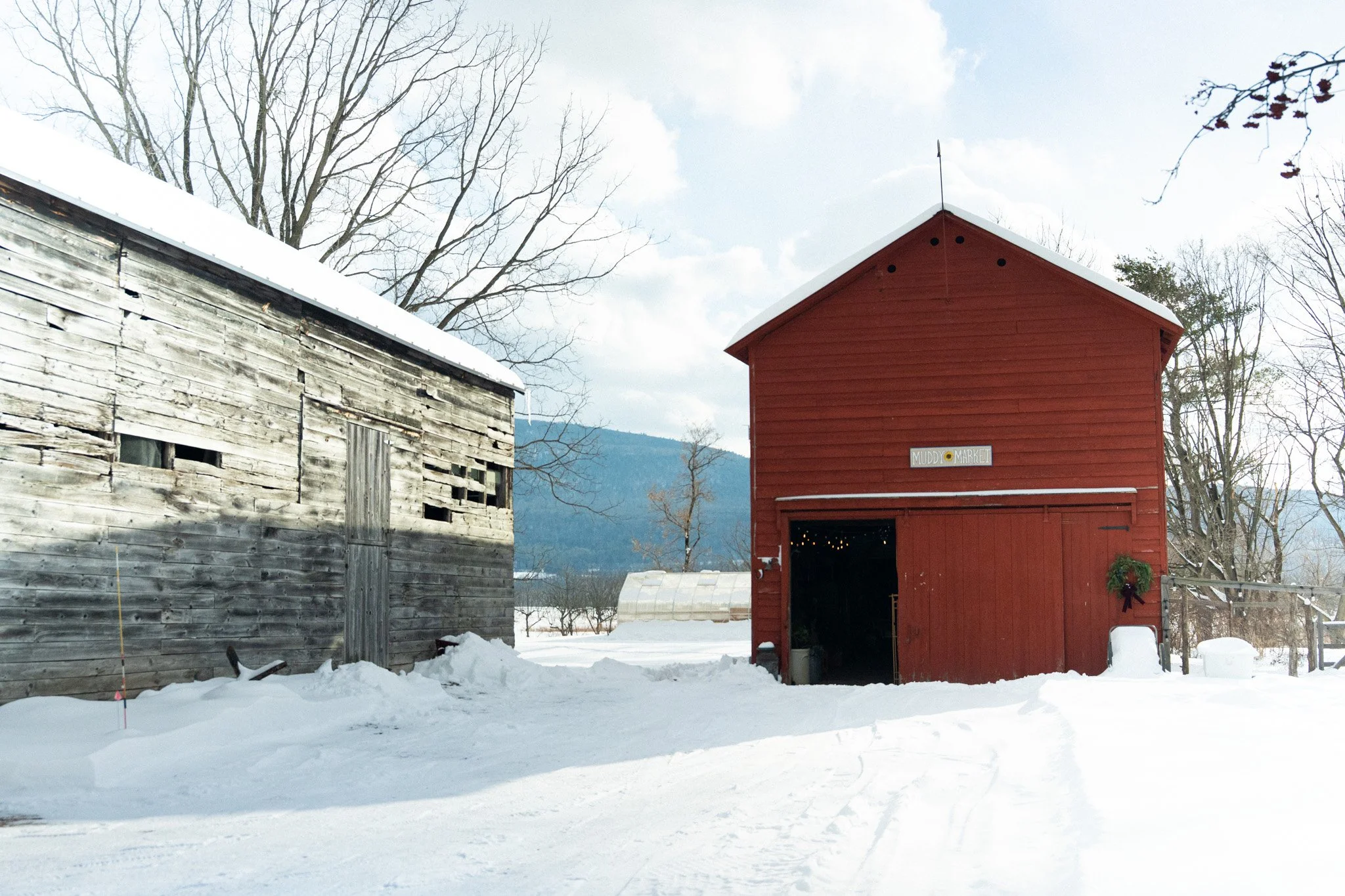 A snowy landscape featuring two barns, one weathered gray and the other painted red, with a sign reading 'Muddy Market' on the red barn. There are leafless trees and mountains in the background.