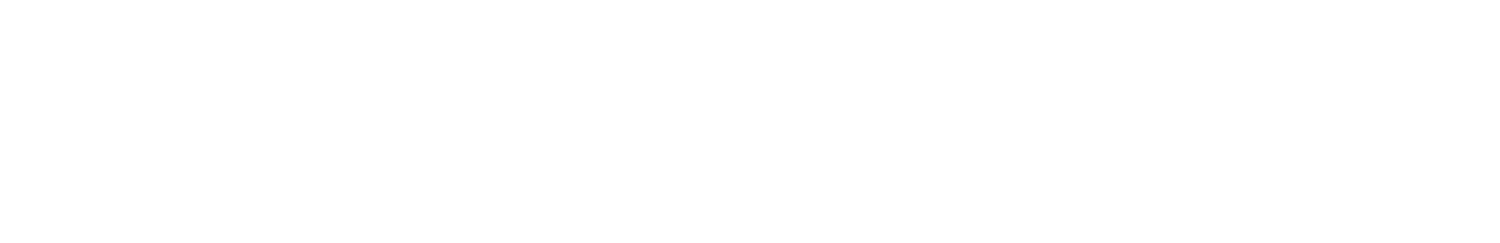 Dandamudi&#39;s Inc