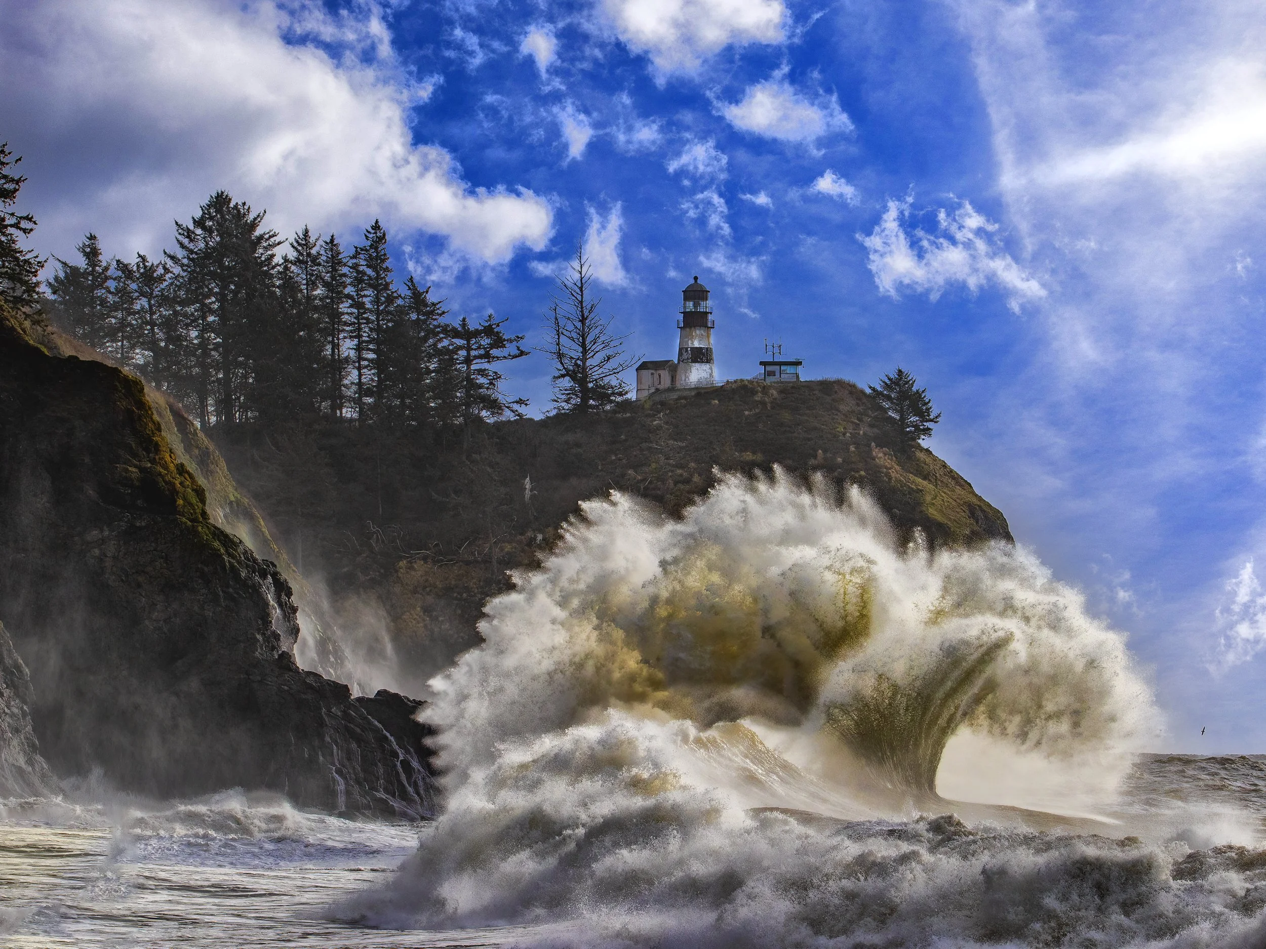 20200111_Cape Disappointment_ 0457-12x16.jpg