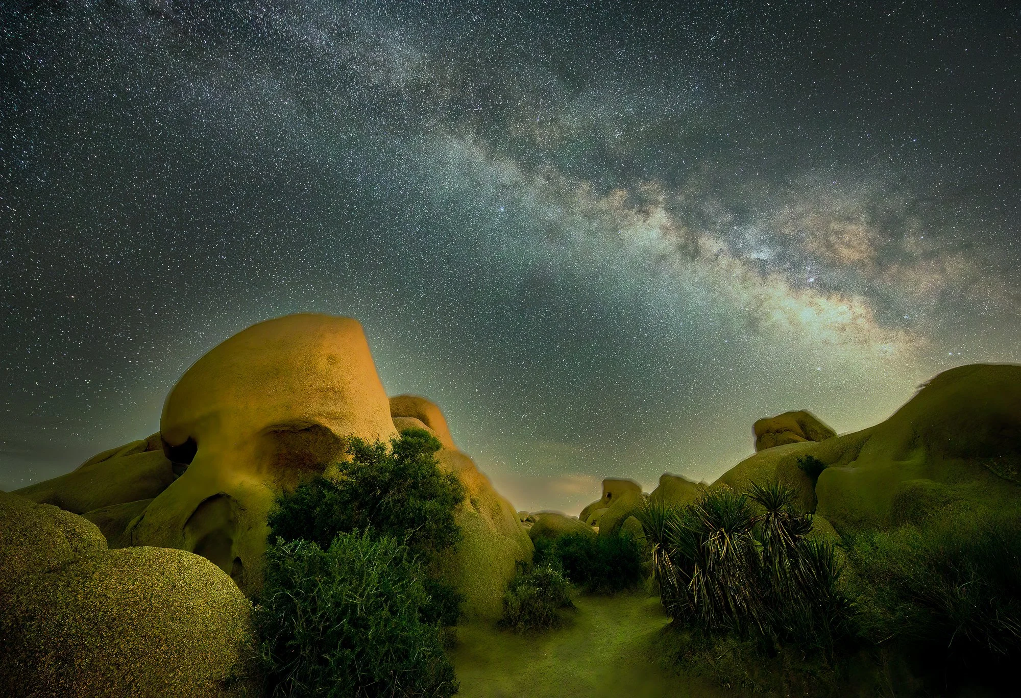 20230518_Jushua Tree_45-Blend-B.JPG