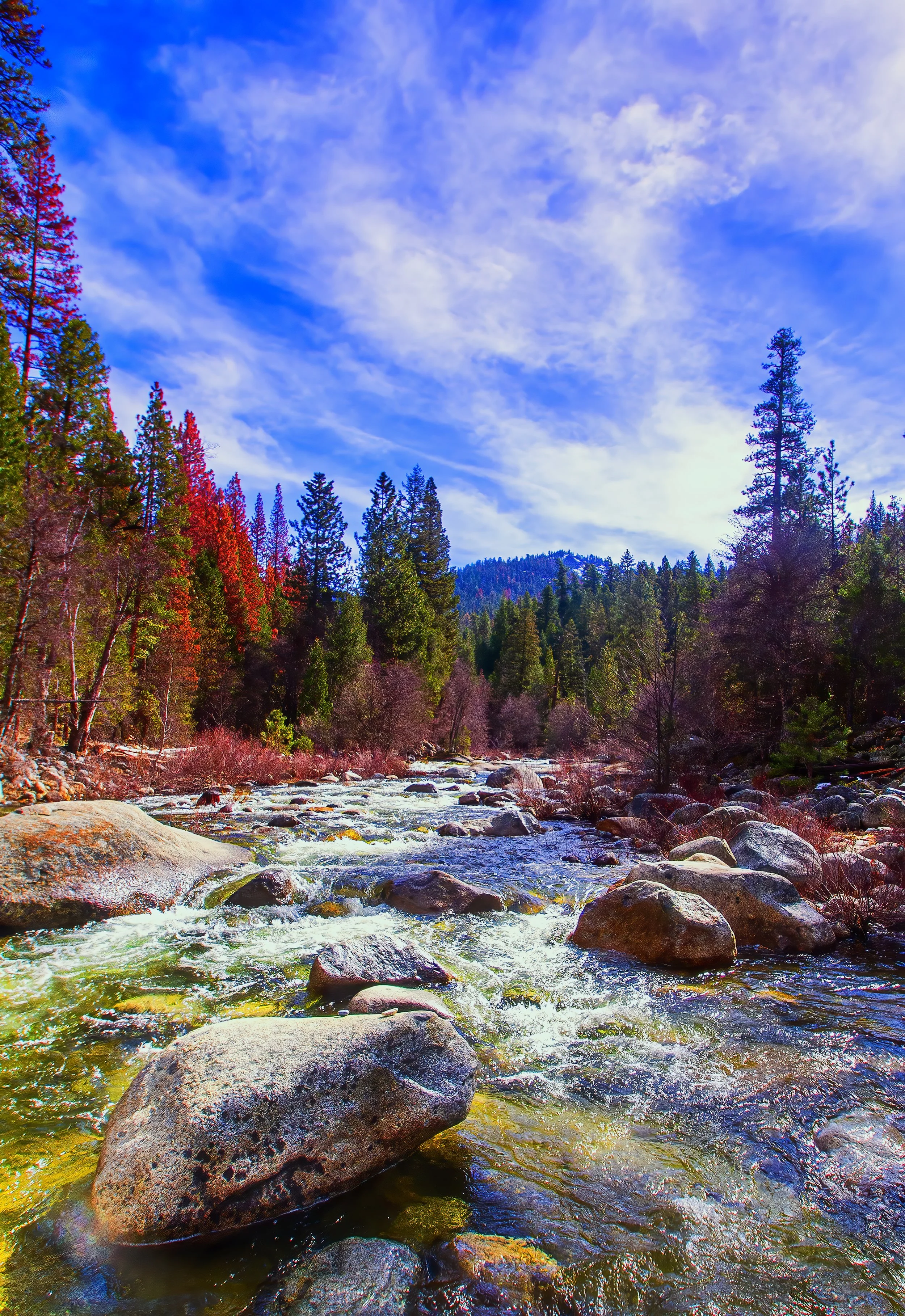 2016_YosemiteWinter_223.jpg