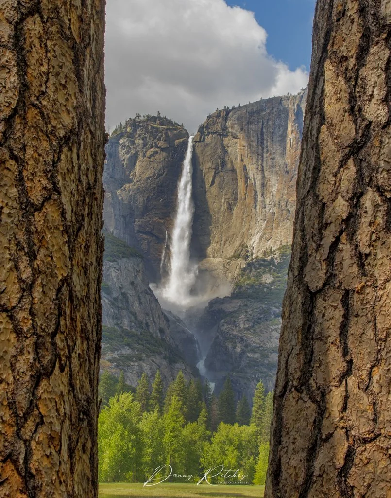 20230529_YoseMayTrip_1182-BS 11x14.JPG