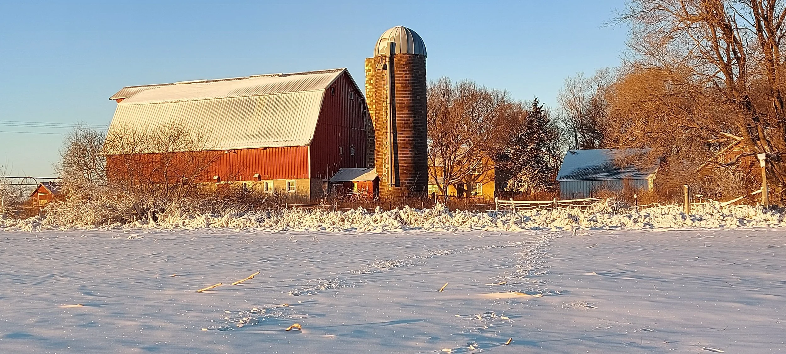 20201225_081221.jpg