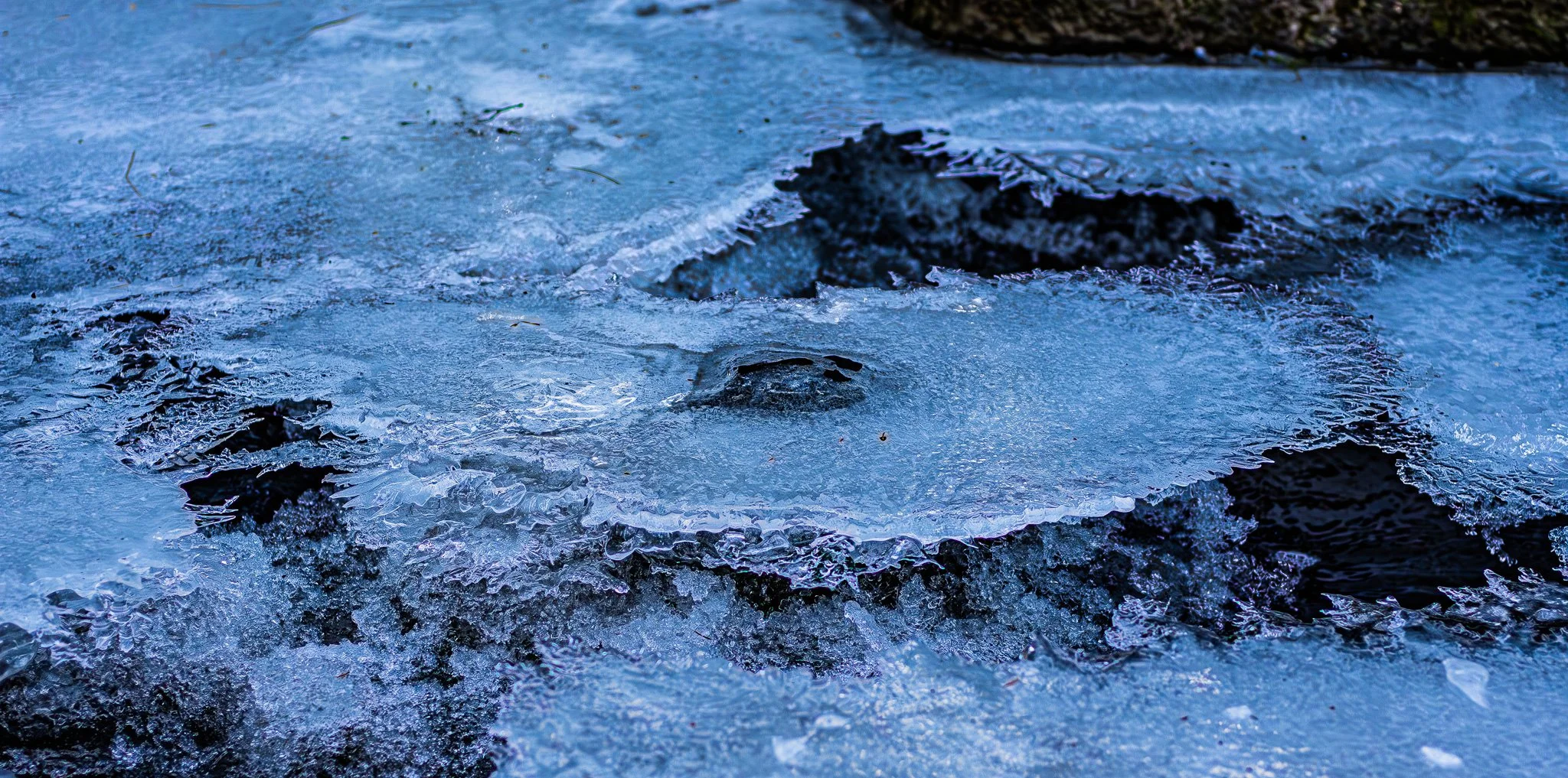 Border Ice And Frazil Flocs Frozen To A Mid-Stream Boulder: Water level drop of about 6 inches exposed the flocs. Sub-borders (left of center) formed from melt and vapor had grown in air from the flocs during the previous three days. Border ice with