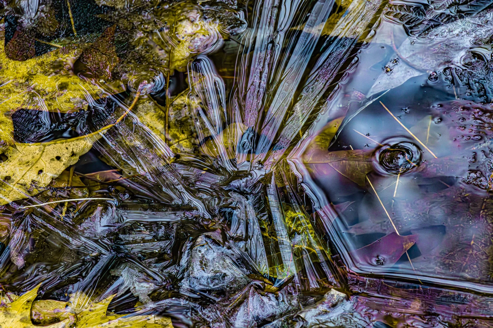 Iceshock: Early November pond-ice star on Chambers Pond, November, 2025.  The asymmetry caused by a lack of blades at right appears like a shock wave impinging on the star formation.