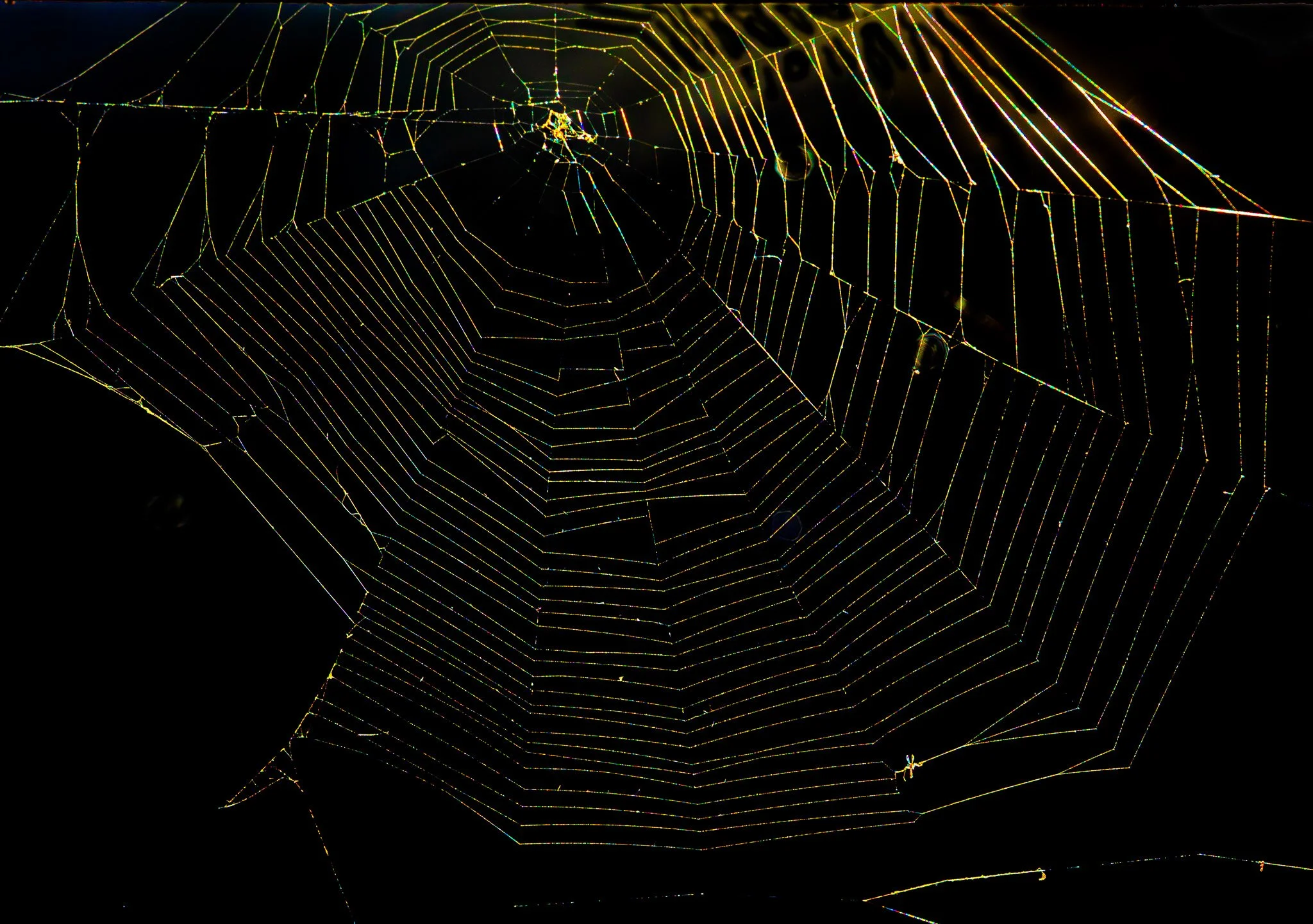 Web along the North Sutton Bridge in North Sutton, NH.: This orb web was strung vertically from the side rail.  Both radial structure strands and orbital capture strands exhibit beads of color.  The spider was likely in the origin but could not be id