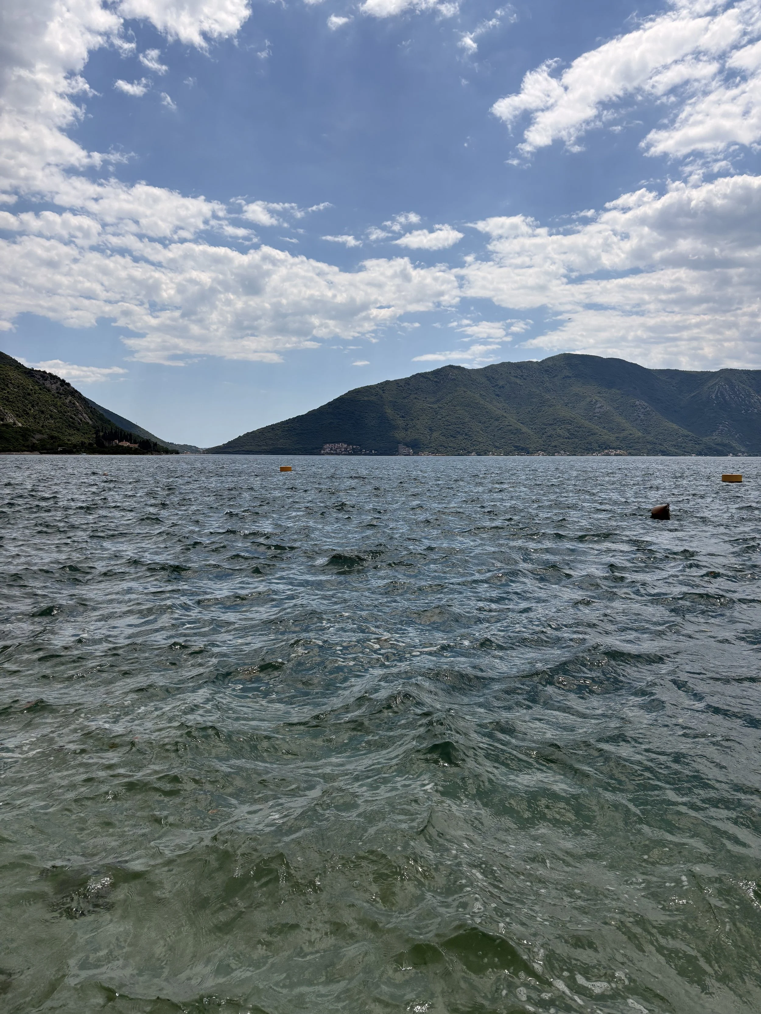 IMG_3494.jpeg