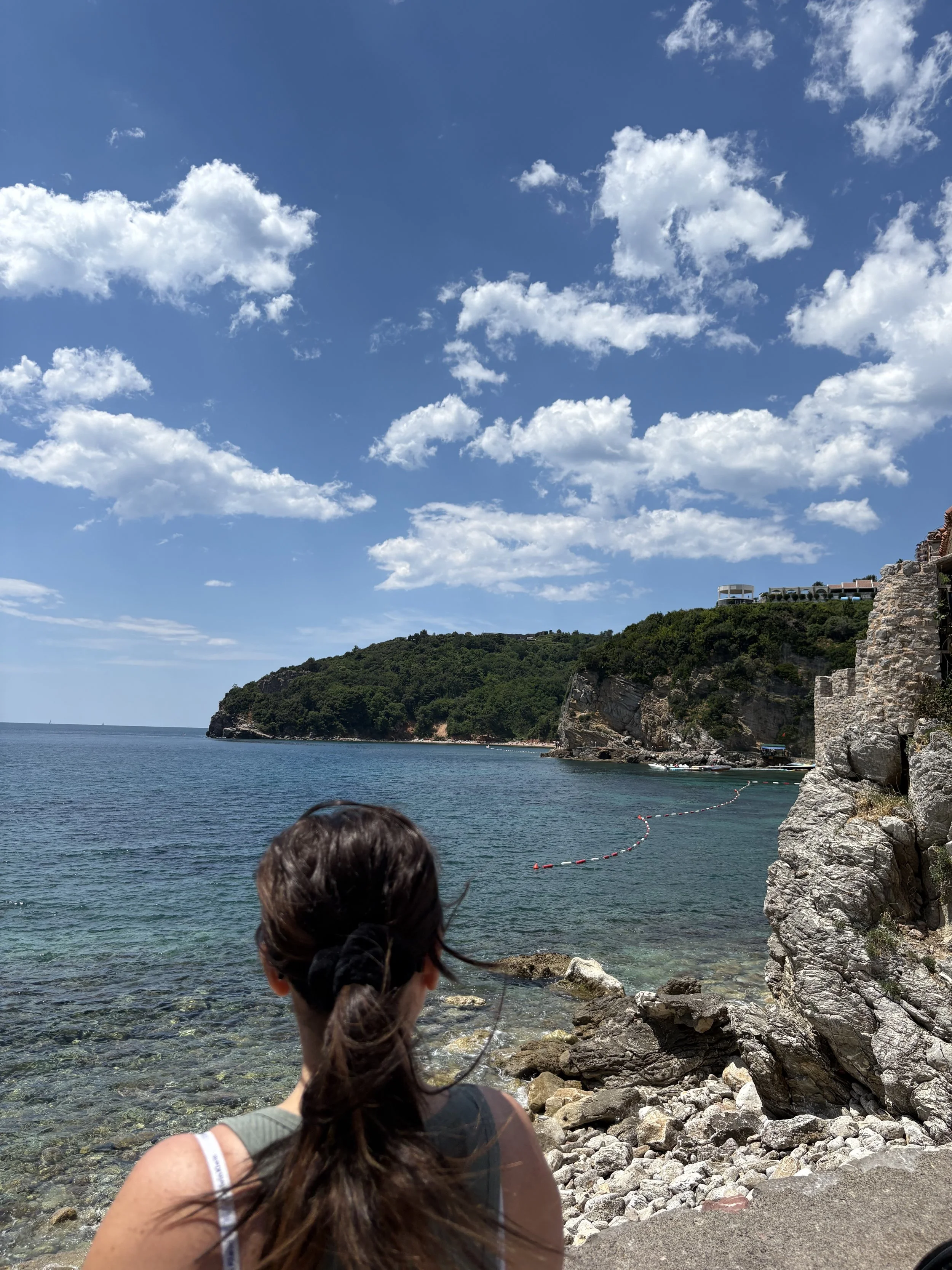 IMG_2356.jpeg