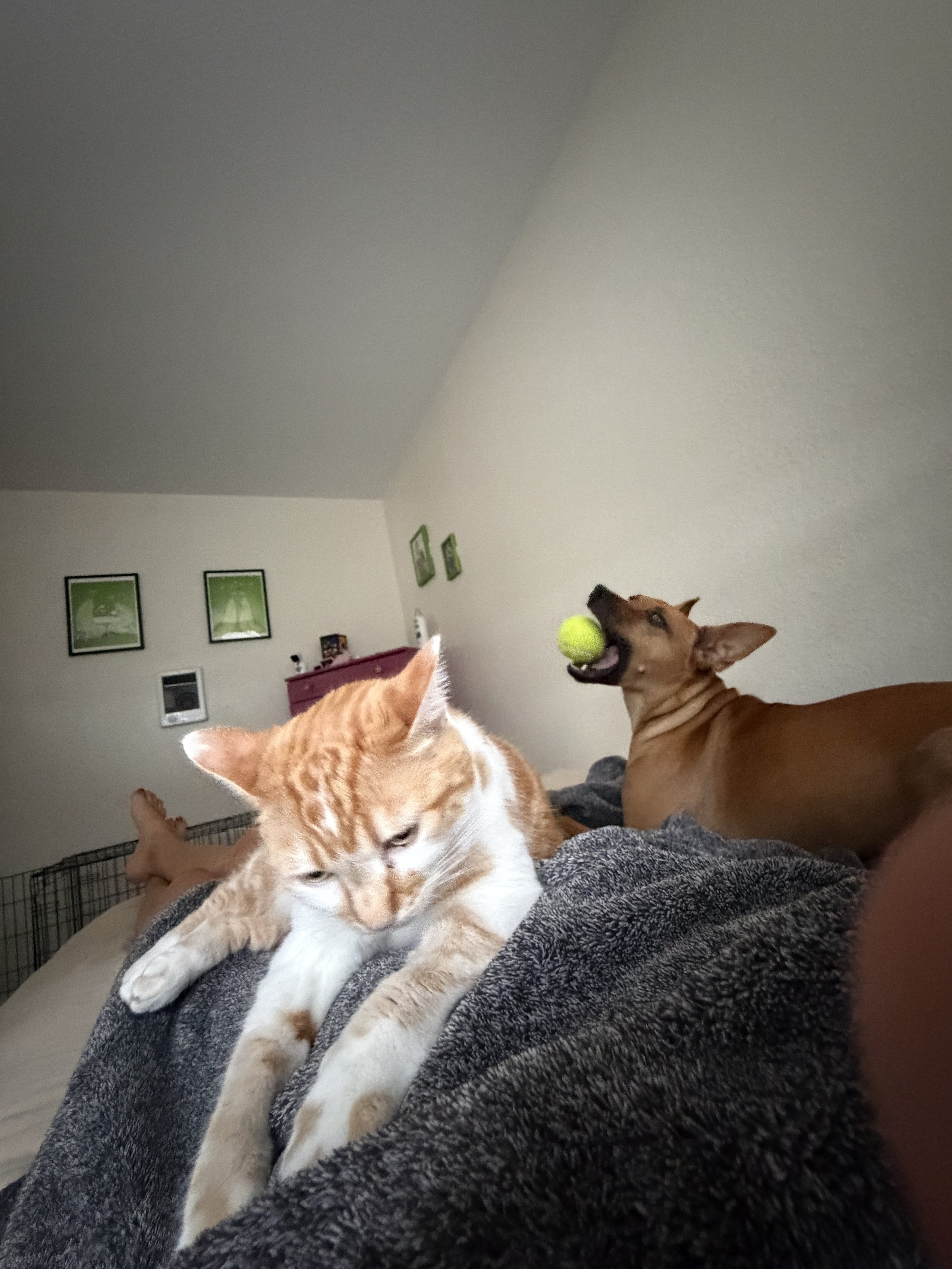 IMG_0566.jpeg