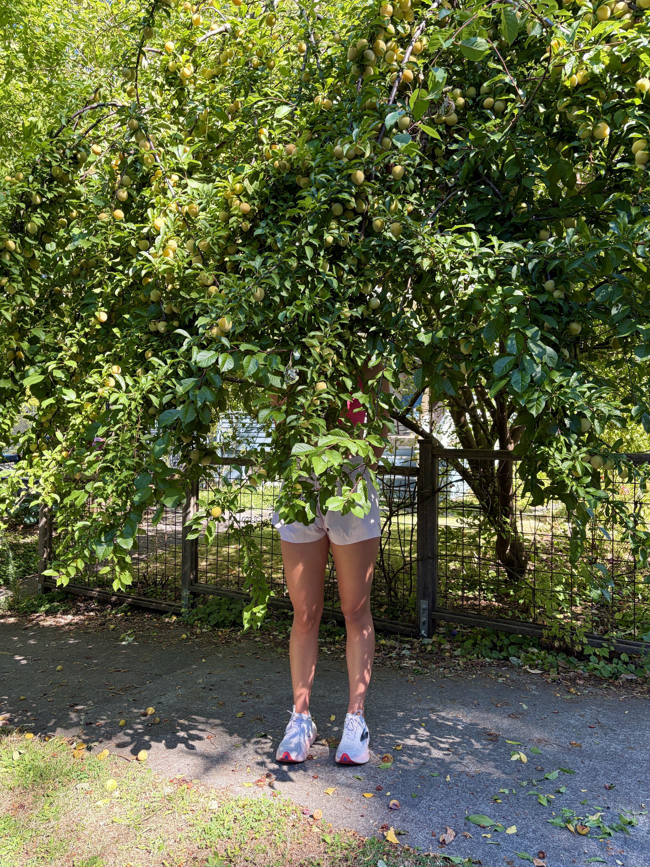 IMG_0132.jpeg