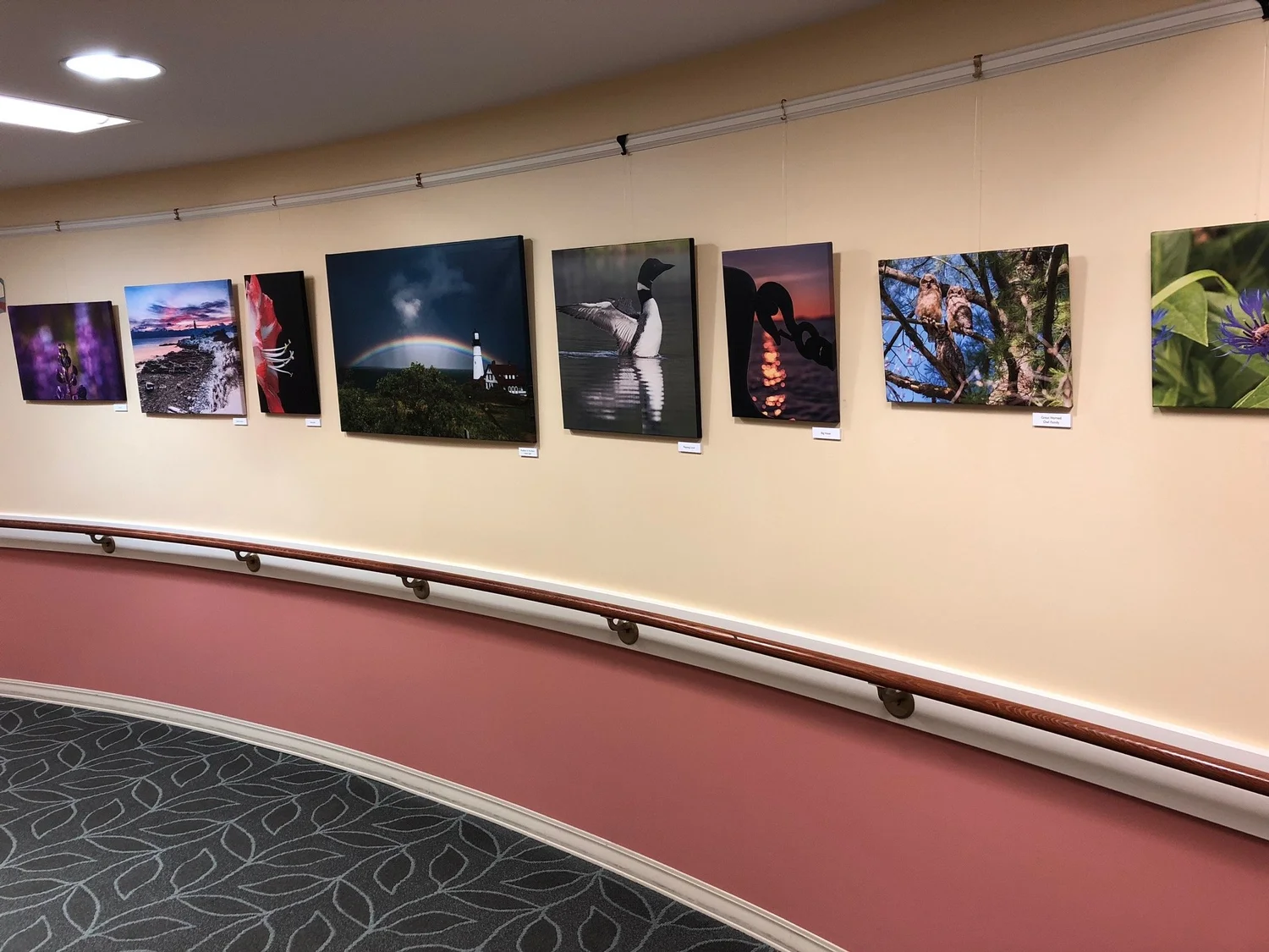 Gosnell Memorial Hospice House — Hospice of Southern Maine