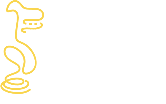 The Pasta Dream