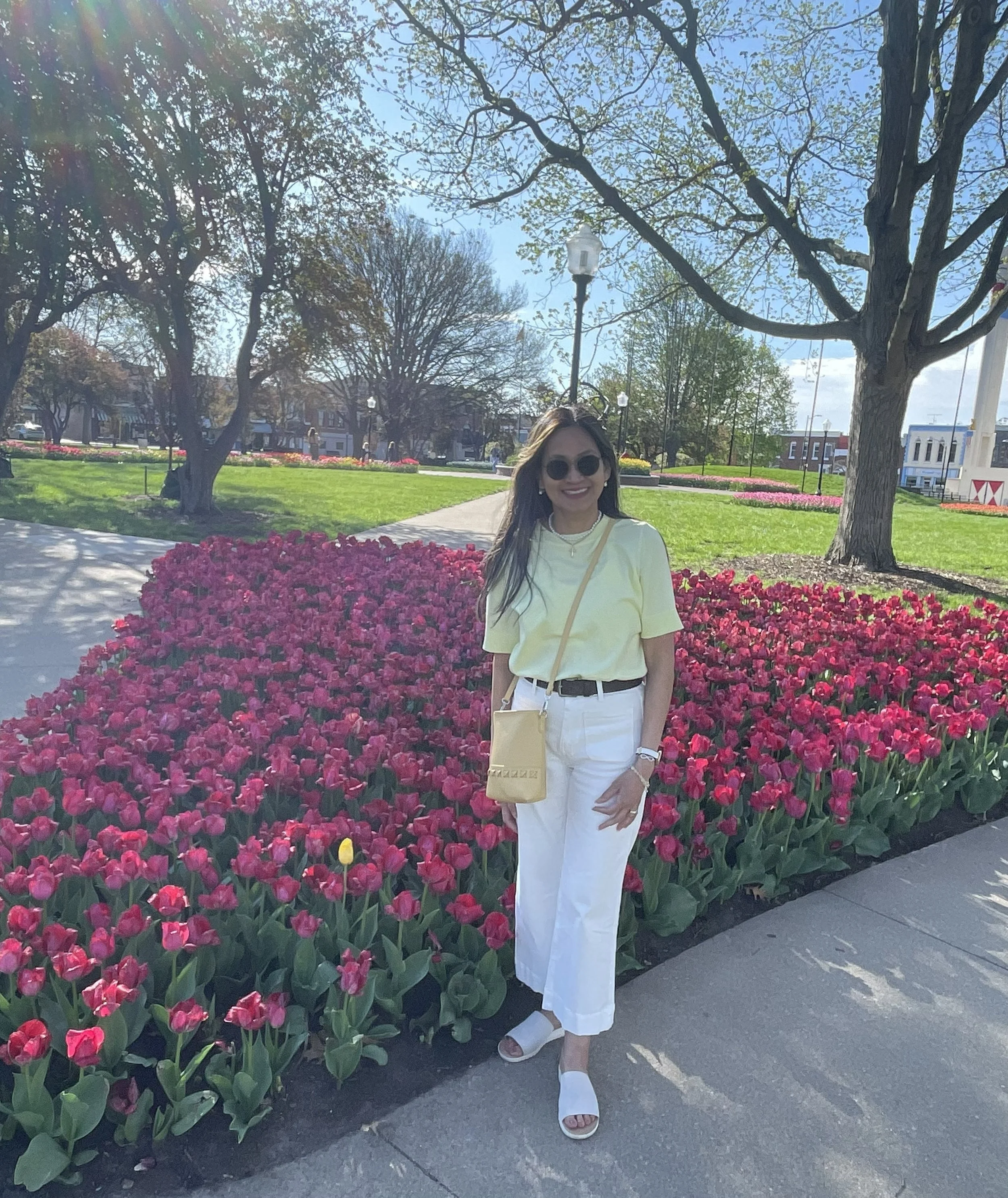 The tulips are blooming in abundance!