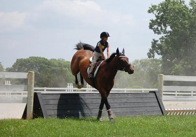Riding Lessons — Jumpin' Jax Farm