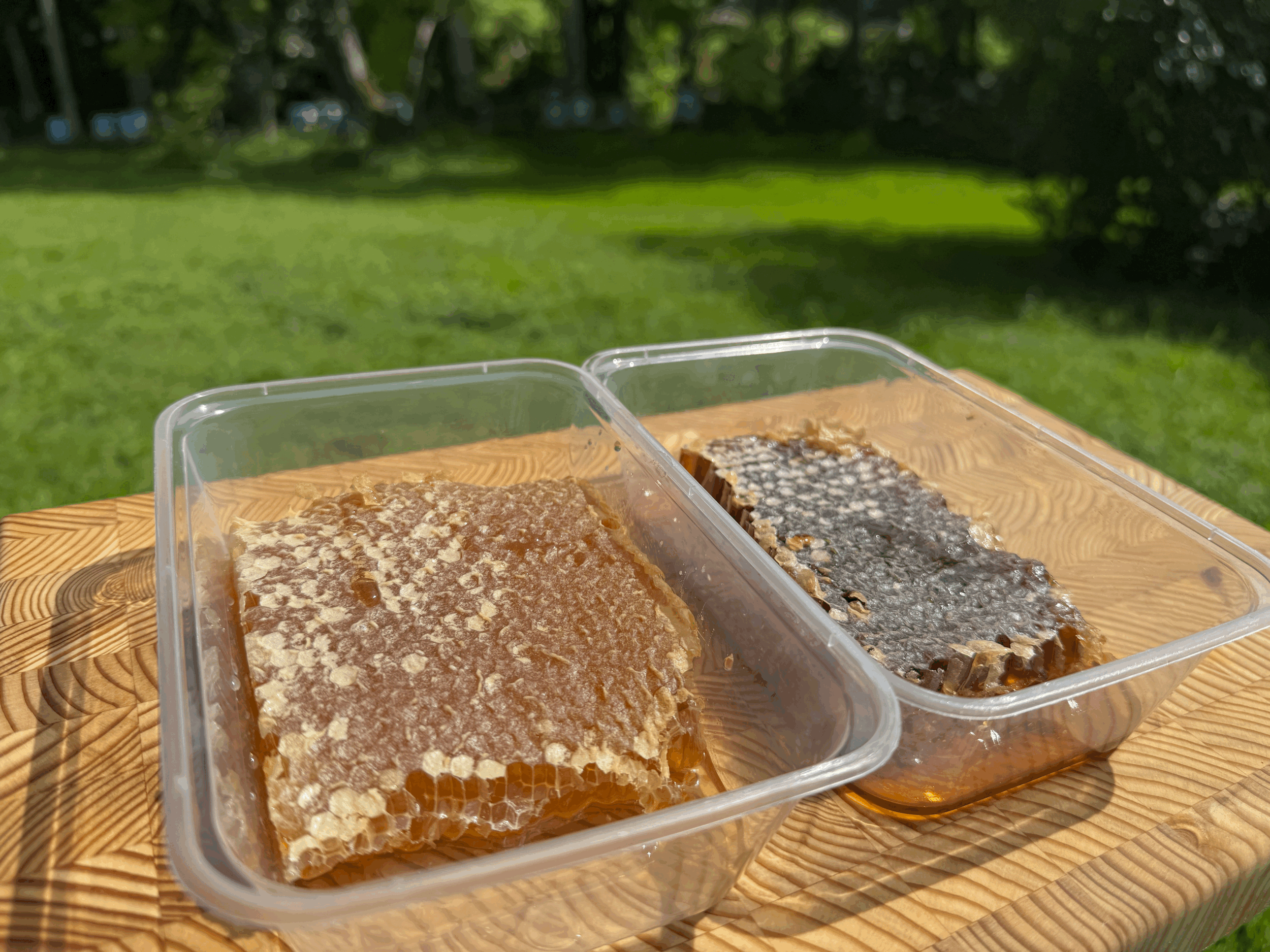 All Natural Honeycomb