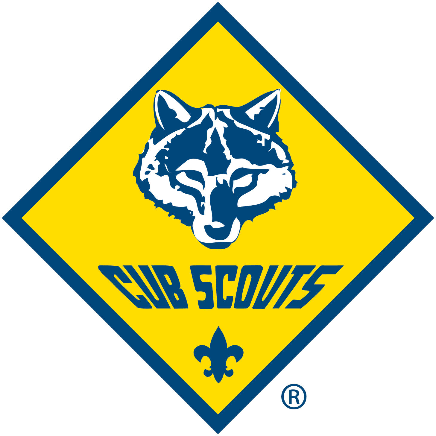 Come Check Out Scouting!