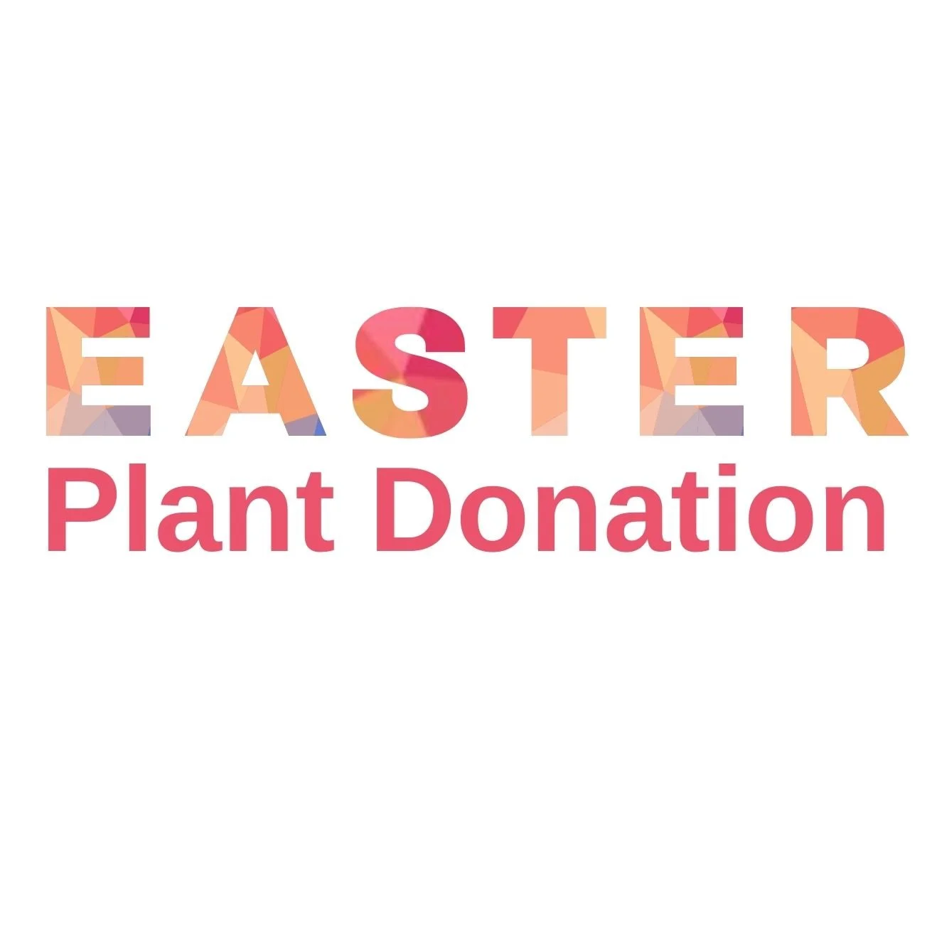 Easter Spring Plants Donation 