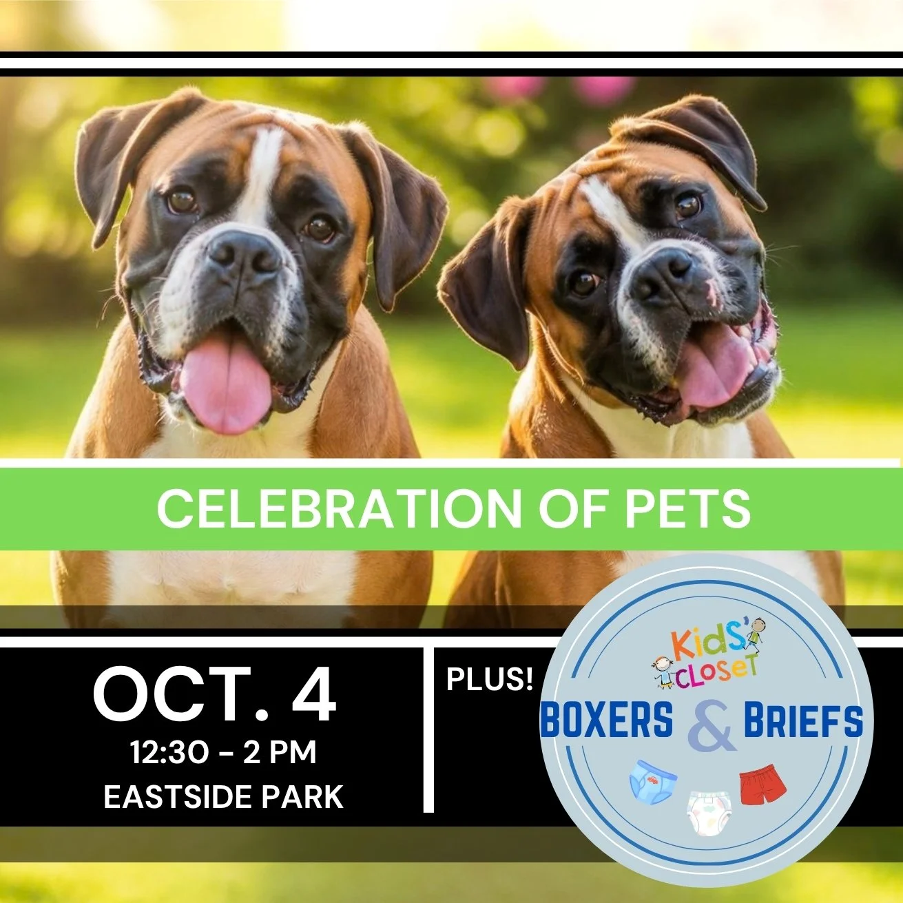 Celebration of Pets