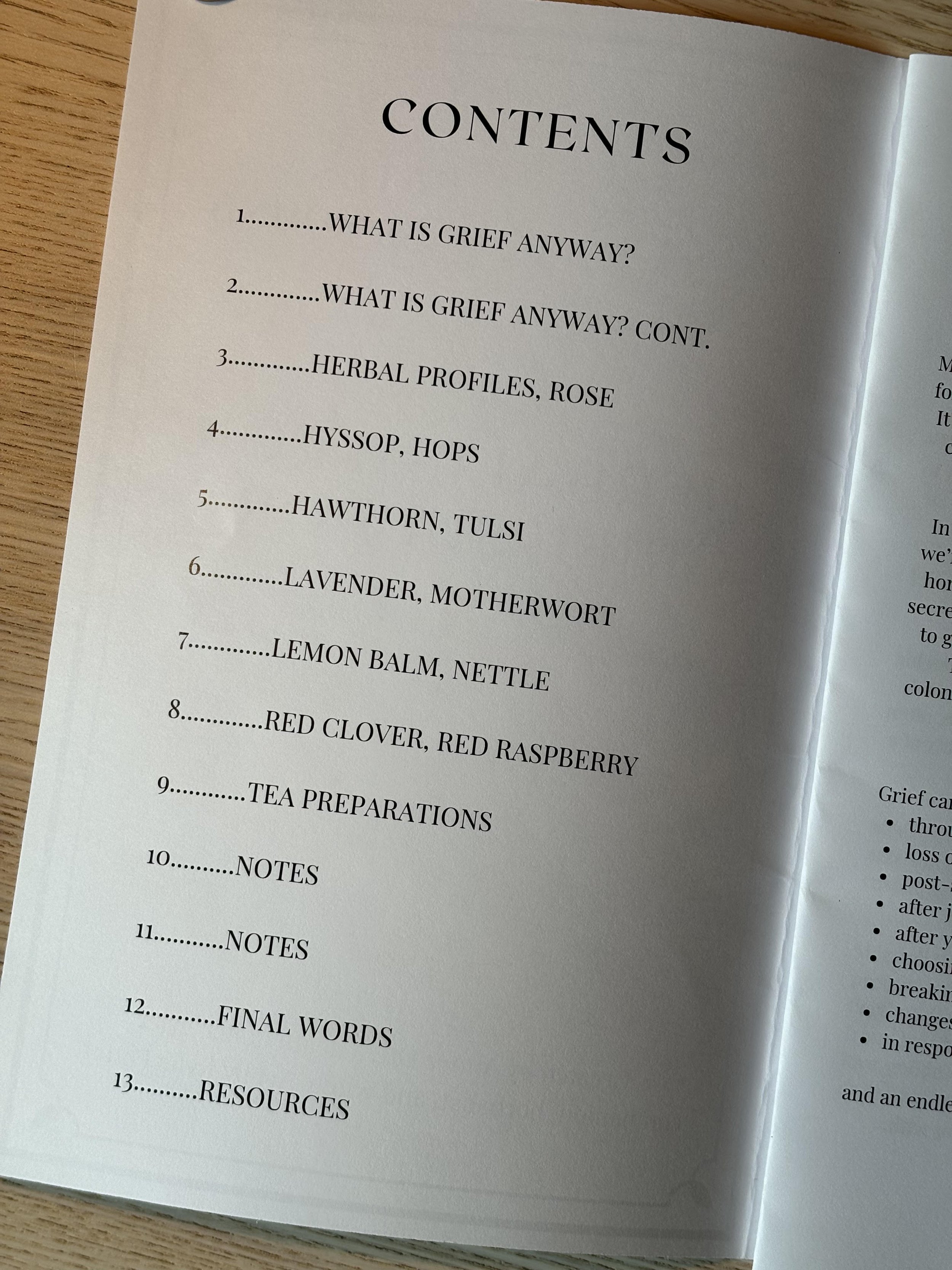 Herb Zine Contents.jpeg