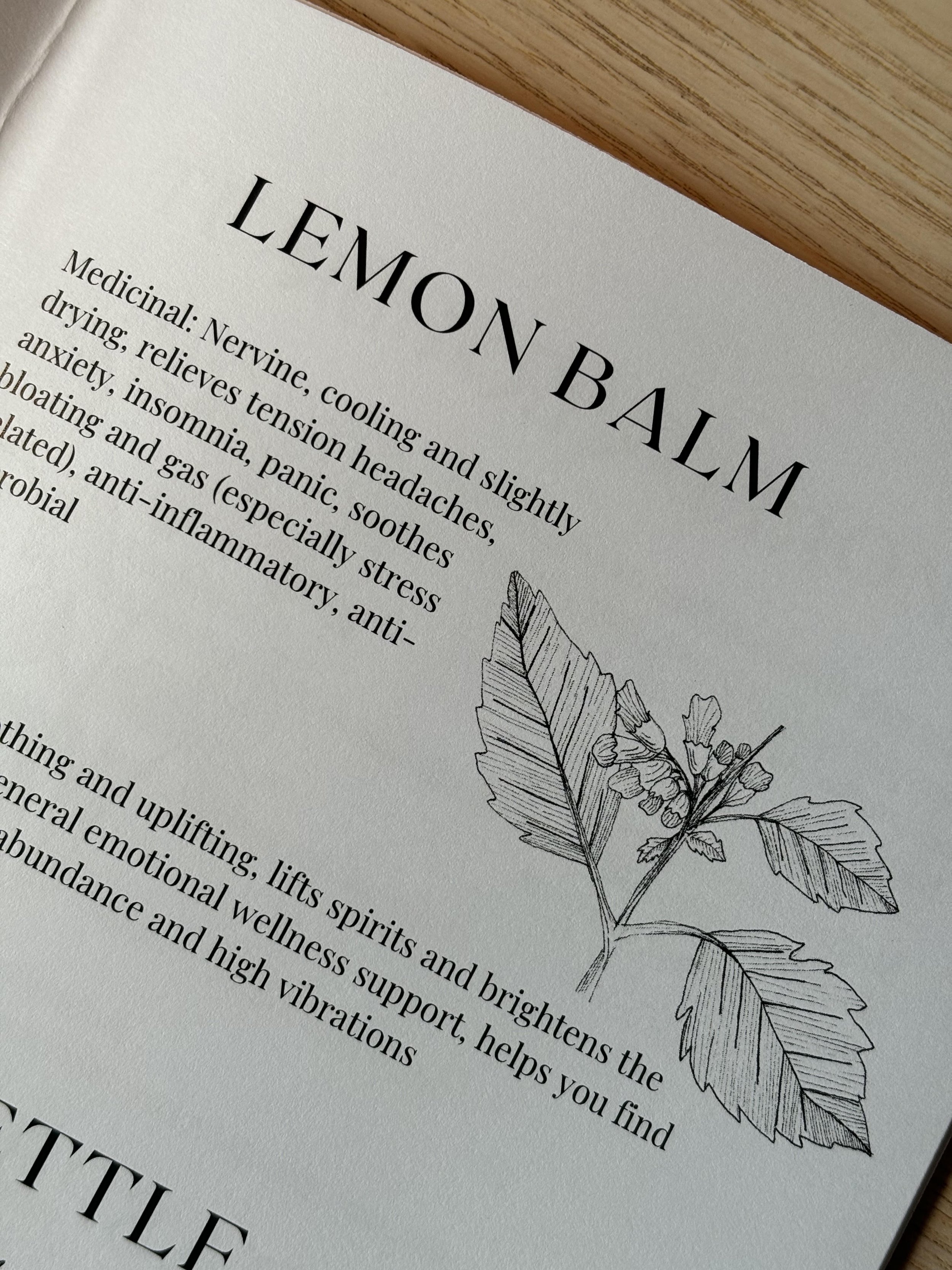 Herb Zine 1.jpeg