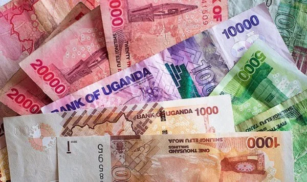 SHILLINGS.jpg